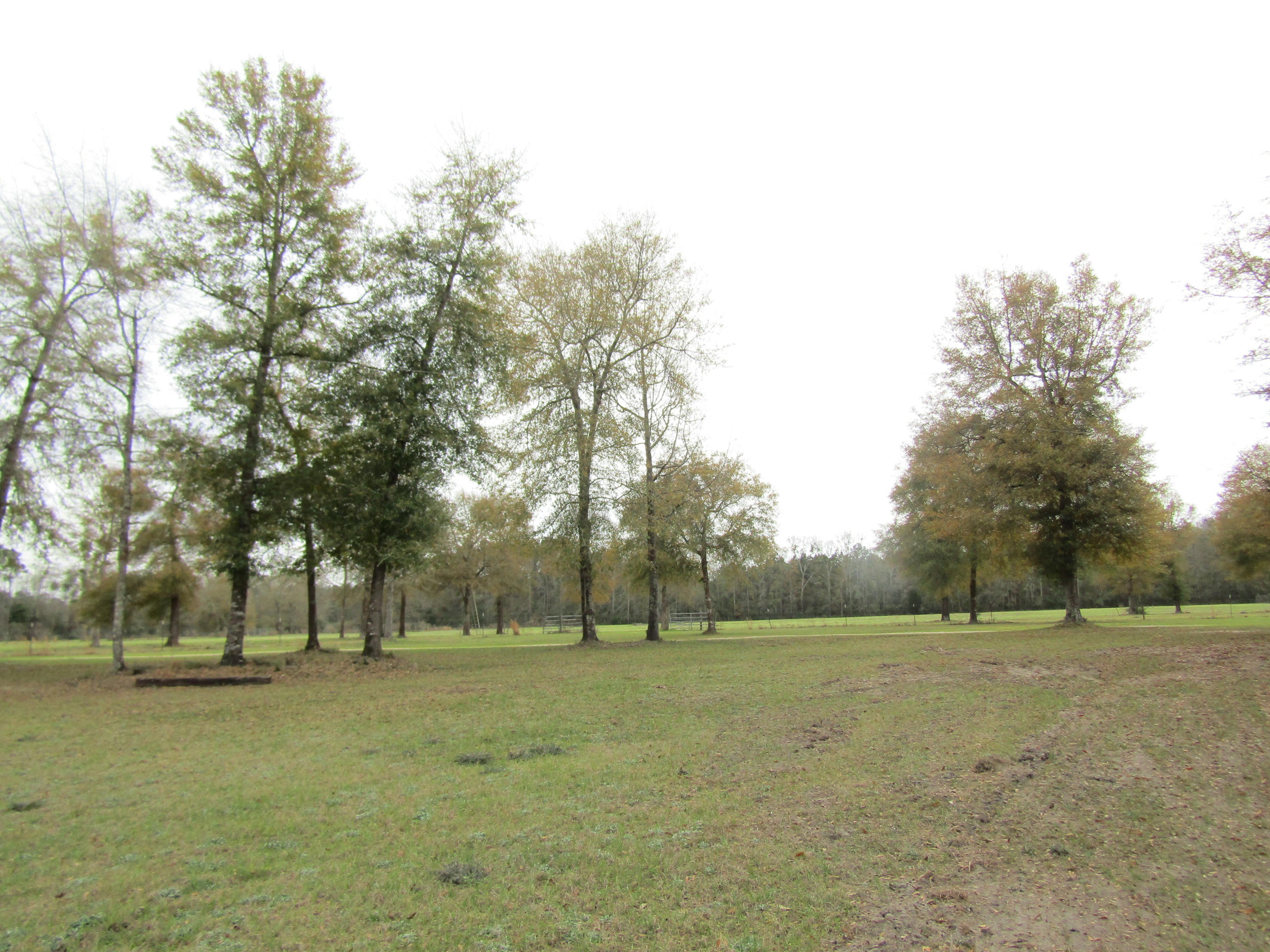 METES & BOUNDS - Farm