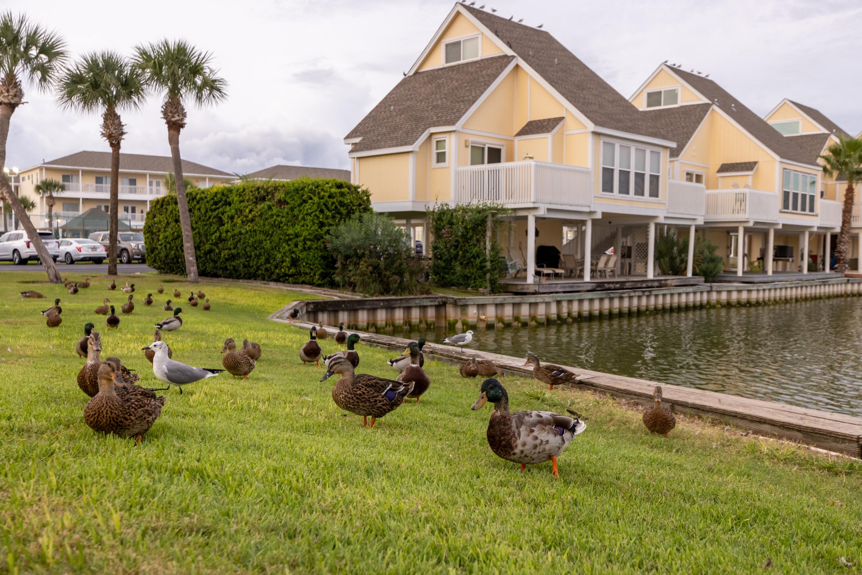 SANDPIPER COVE PH 01 - Residential