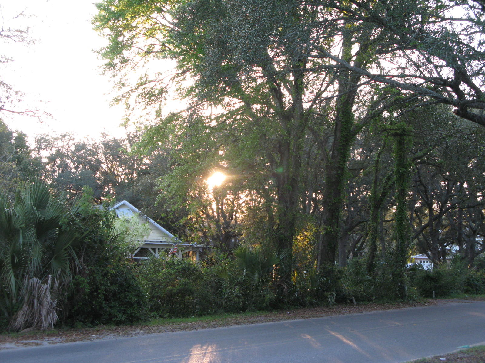 BELLA VISTA - Residential