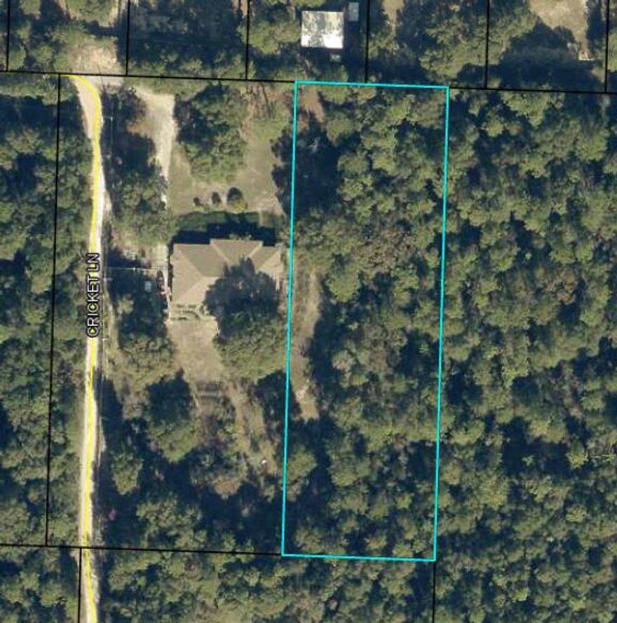 If you are looking for a future home site that provide you the space and country feel without the sacrifice of easy commute to the local shopping centers, schools, military basis, and the magnificent beaches then this lot might be just for you. 1.3 acre +/- future homes site available in north Crestview. Will require a well to be put in.