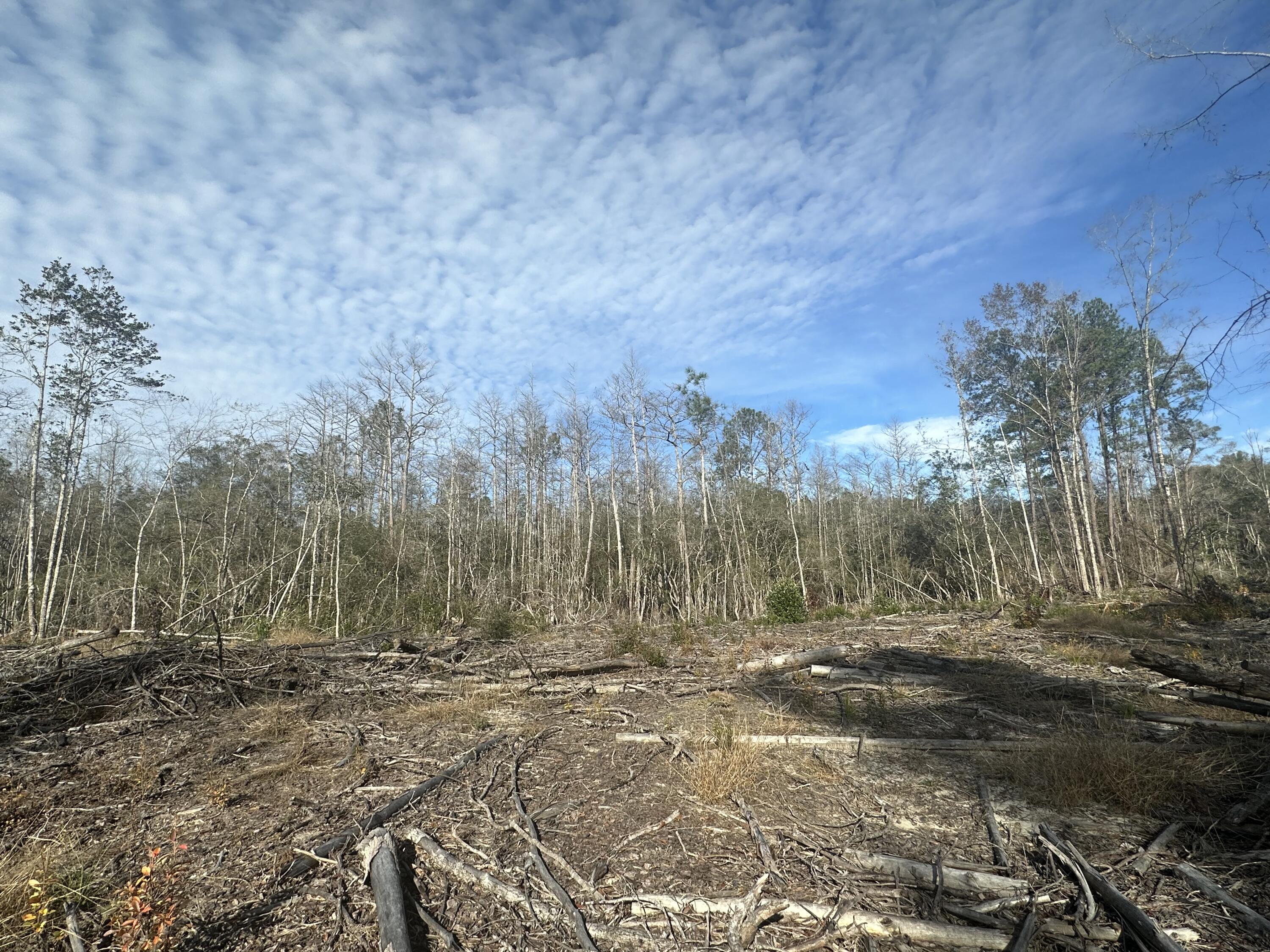 ***POSSIBLE HUNTING LEASE - DO NOT ENTER THE PROPERTY PRIOR TO SCHEDULING A SHOWING APPOINTMENT 24 Hours or more in advance***Great Location for Hunters Paradise, you won't want to miss this opportunity! This Beautiful 37.29 +/- Acres of prime land. Prime quite location 15 minutes away from Bonifay. I-10. This tract timber has recently been harvested and tract has been cut. Bring your hunting gear, Horses, and ATVS. LOCATION LOCATION!!!! This Property has Easy Access to Panama City Beaches, I-10, Hwy 79 and Hwy 90.