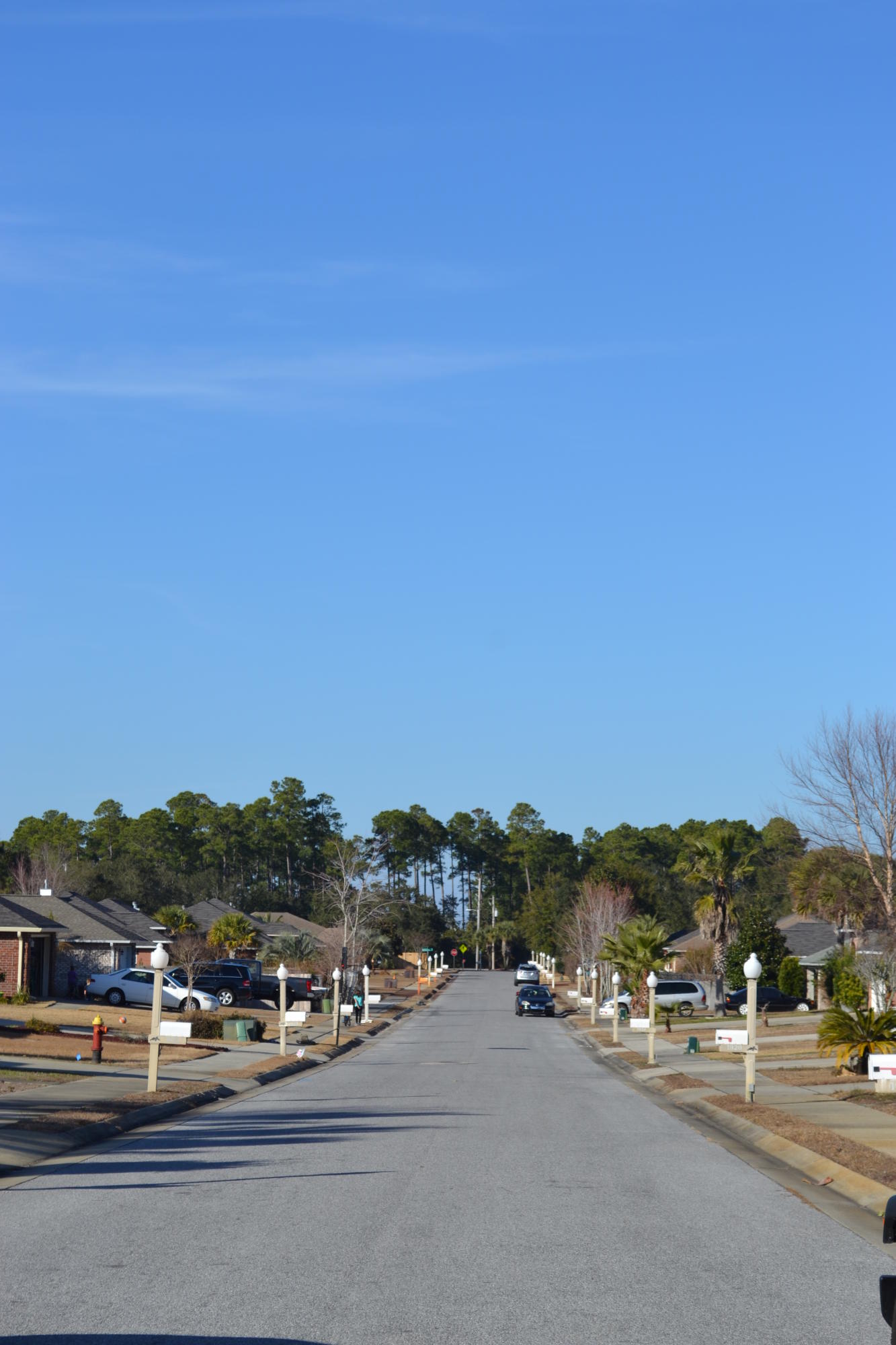 MELISSA OAKS LOT 8 BLK C AS DES IN OR 3444 PG 471 - Residential