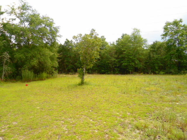 OAKWOOD HILLS UNIT 1 - Residential