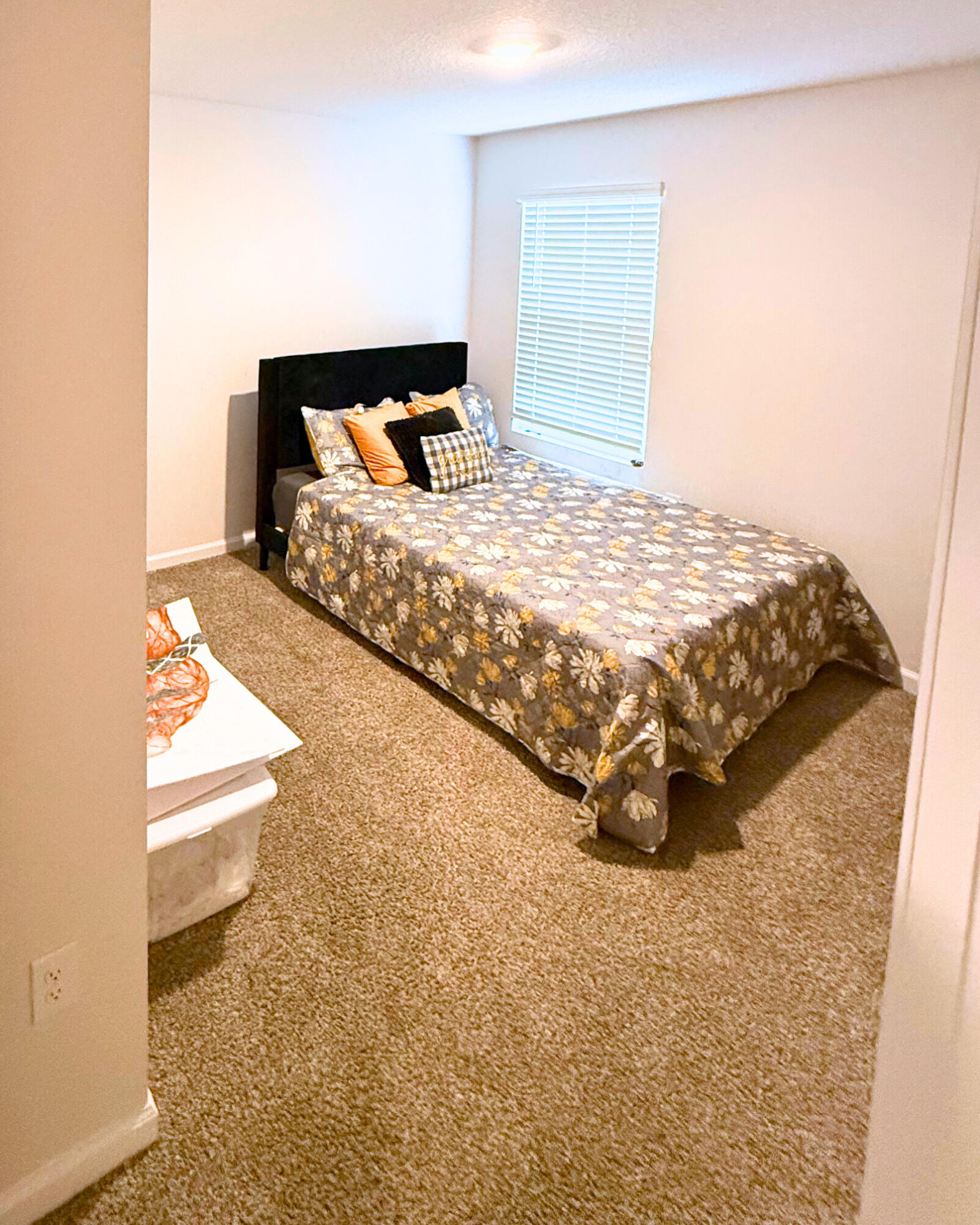 SHOAL RIVER LANDING - Residential