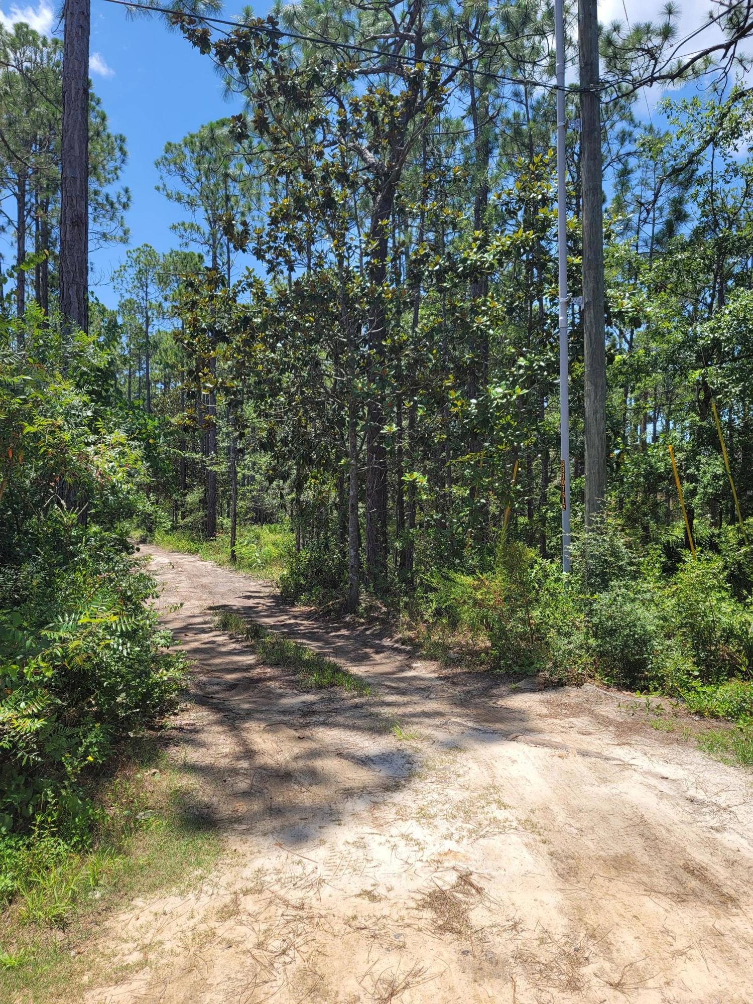 Beautiful future home sight in the heart of Santa Rosa Beach. Selling lots individually or as a group. Total of 4 lots for sale.