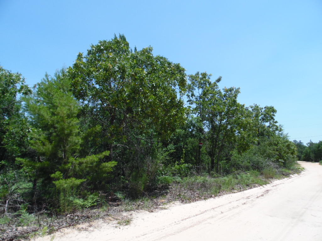 1 Acre just outside of the city of DeFuniak Springs. This lot is just a short drive to Eglin AFB and the beach.Call to scheduled an appointment today.