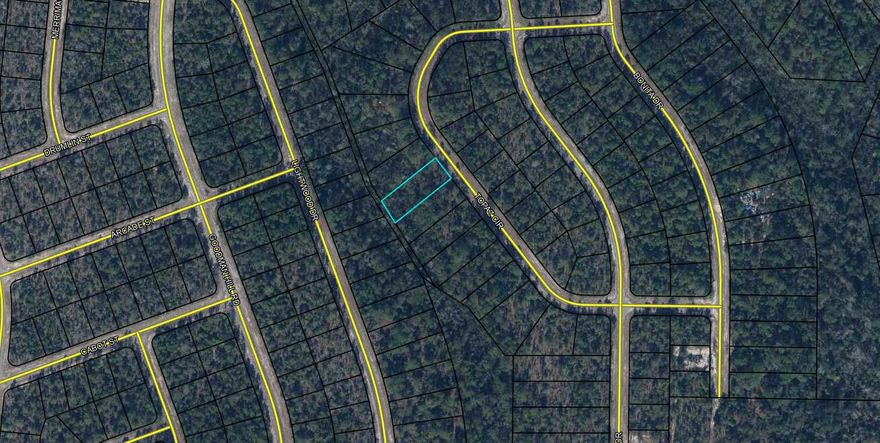 Nice .40 acre lot. Sunny Hills is an established subdivision with over 20K lots and is currently being developed with several national builders. Subdivision offers an 18 hole golf course with Clubhouse, numerous lakes with white sandy beaches for recreational activities such as swimming, boating, and fishing, churches, best of all with NO HOA fees! Need city life? Panama City Beach. Northwest Florida Beaches International Airport, and Pier Park shopping are approximately a 45 minutes drive. Approx. 20 miles from local shopping, medical, and other local amenities in Chipley. LOT 37 is also available