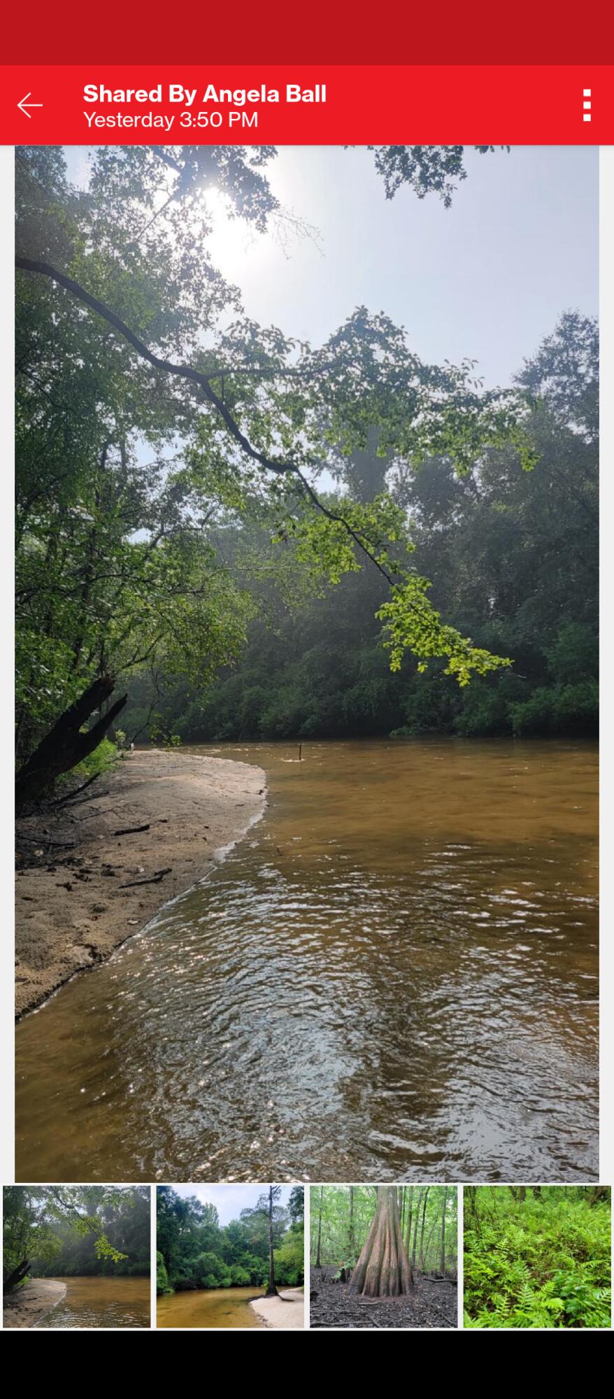 SHOAL RIVER PLANTATIONS, INC - Land