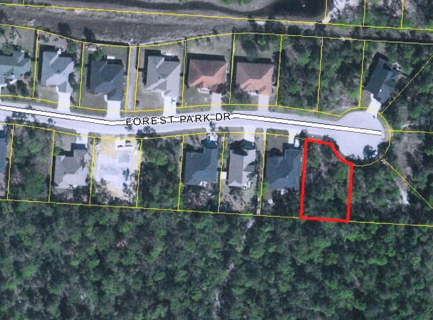 This lot has great trees. A home built here will back up to the State Forest.