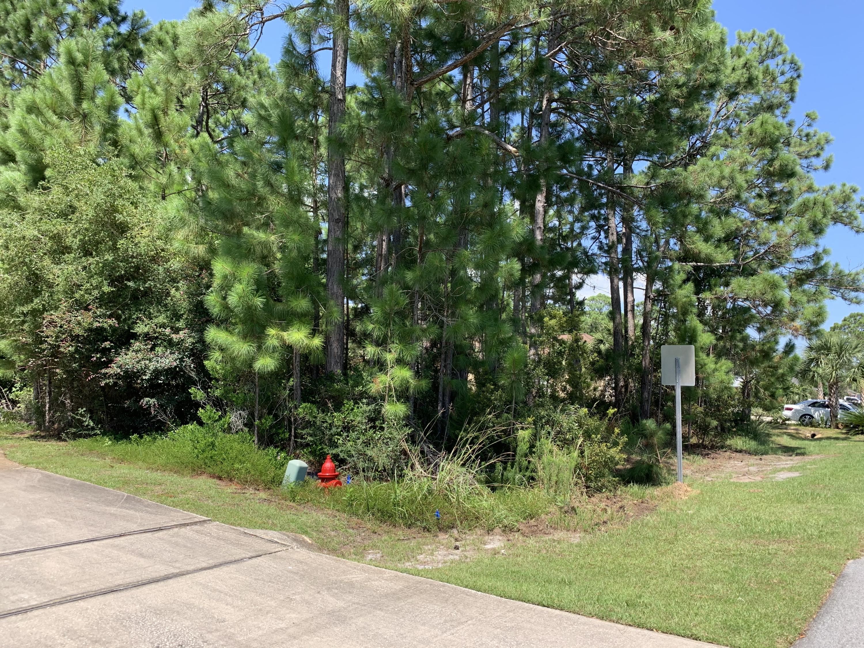 Holly by the Sea - Land