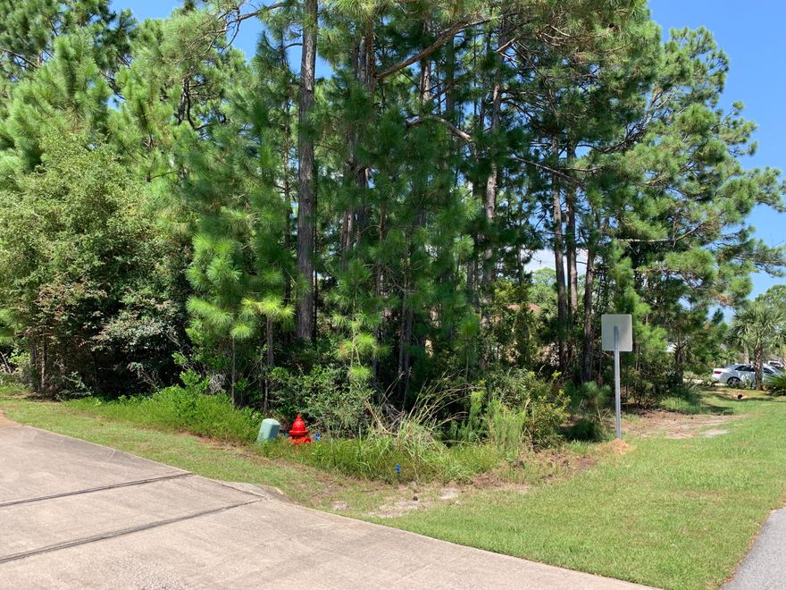 Wetland study ordered;  Great lot and one of the last lots on Woodmont in Holley by the Sea;