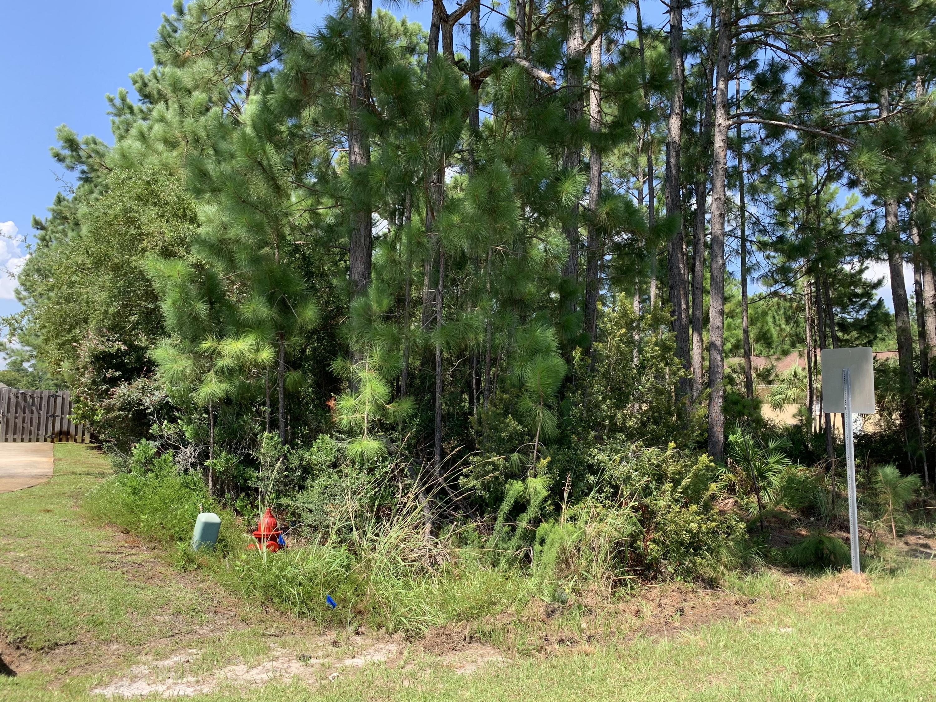 Holly by the Sea - Land