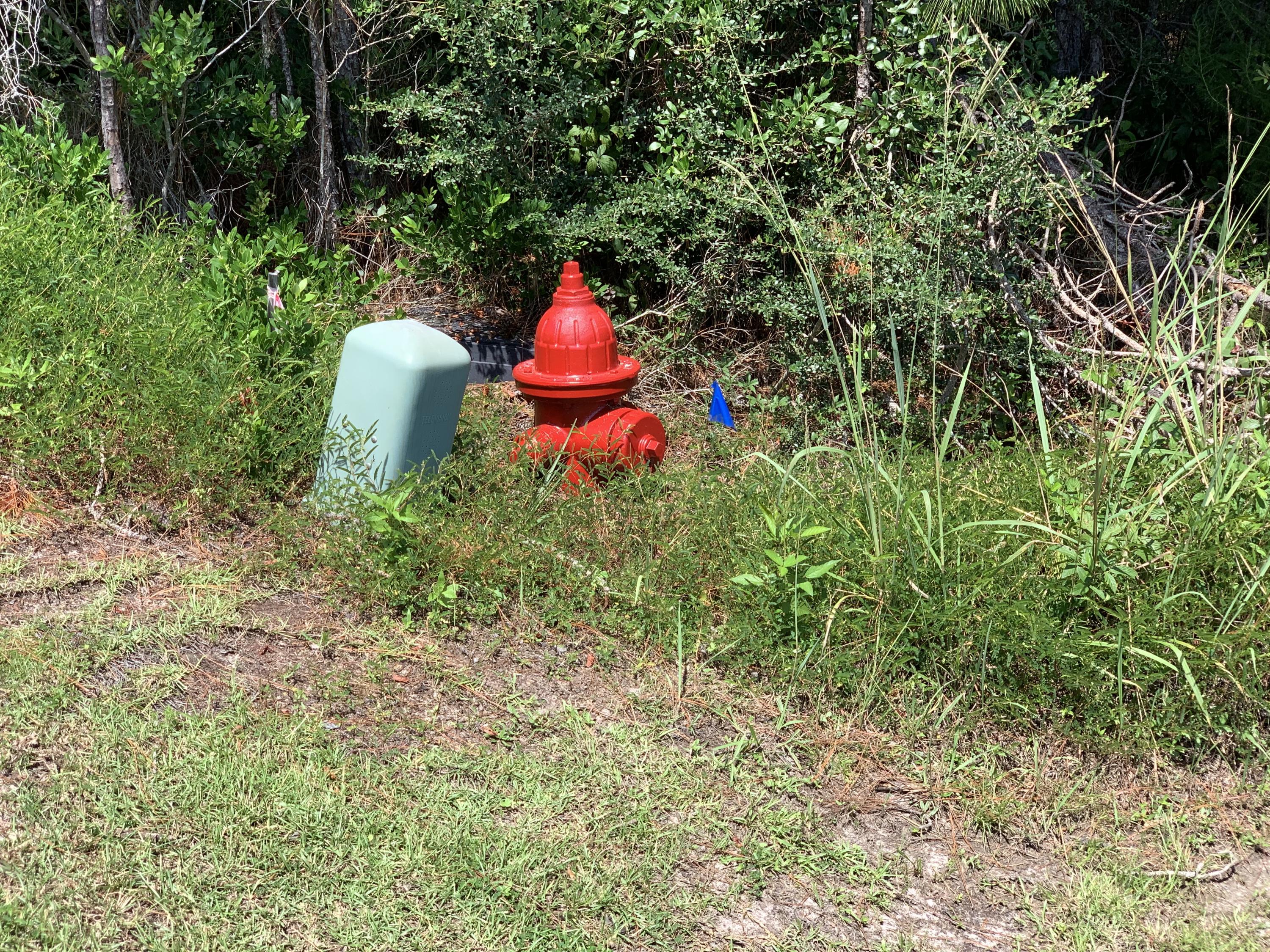 Holly by the Sea - Land