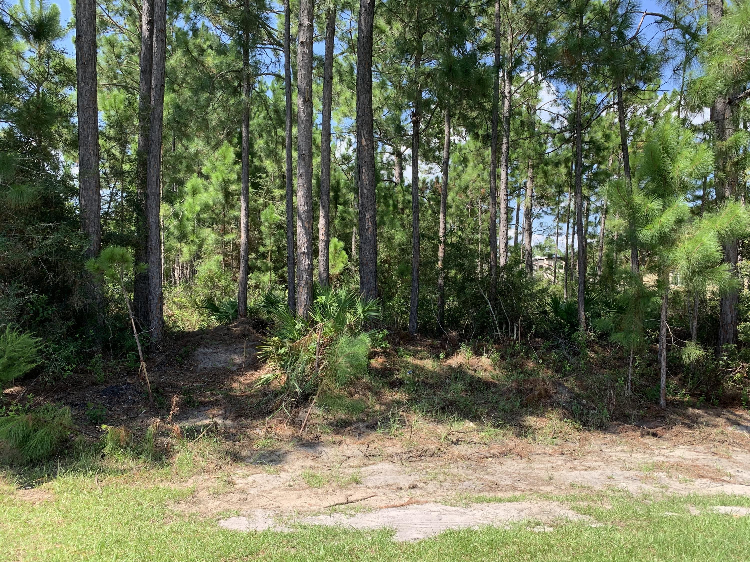 Holly by the Sea - Land