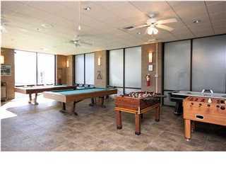 Holly by the Sea - Land