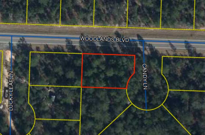 Are you looking for vacant land in a rural setting on a paved road? Look no further! Bring your building plans or a mobile home to be placed on this quarter-acre lot. Just 15 minutes from DeFuniak, 25 to Crestview and 30 to Niceville, this lot is located perfectly. Enjoy peaceful, rural living while still being only a short drive to surrounding cities. City water available on property, power available at the road.