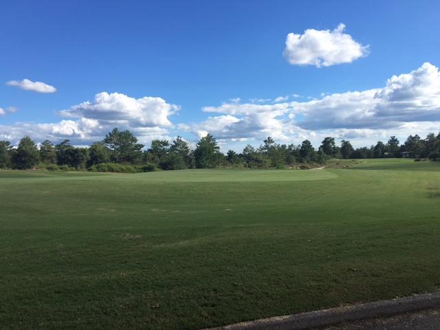 WINDSWEPT ESTATES - Land