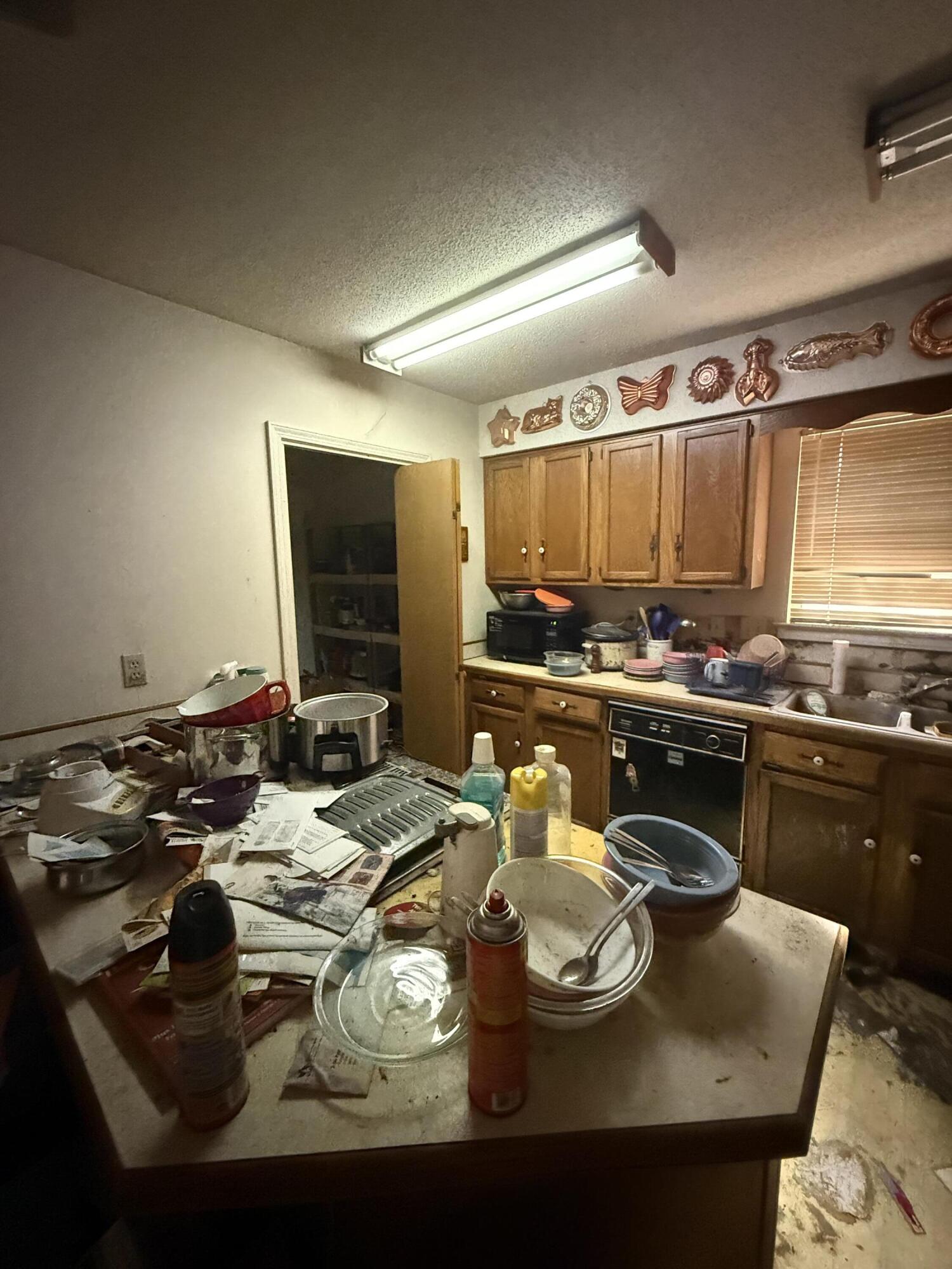 BRITTANY WOODS S/D - Residential