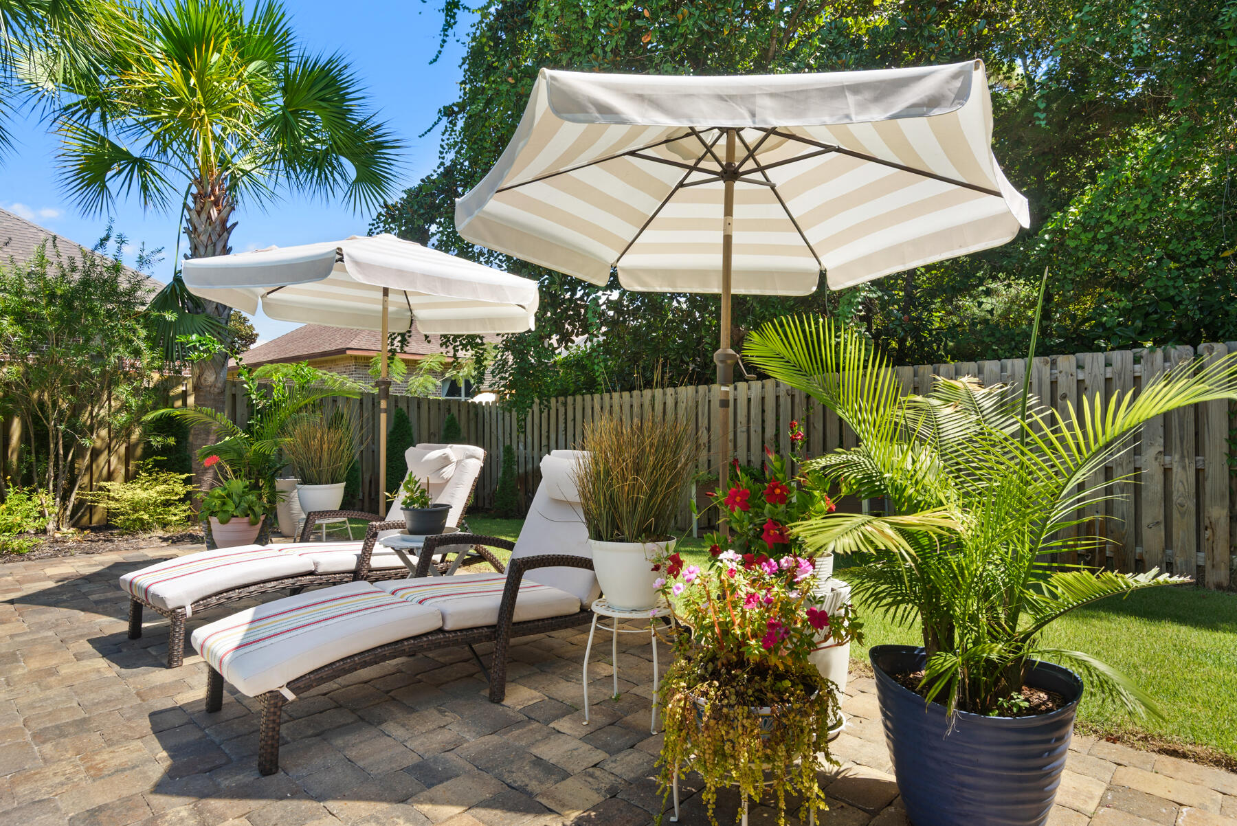 CAMELLIAS - Residential