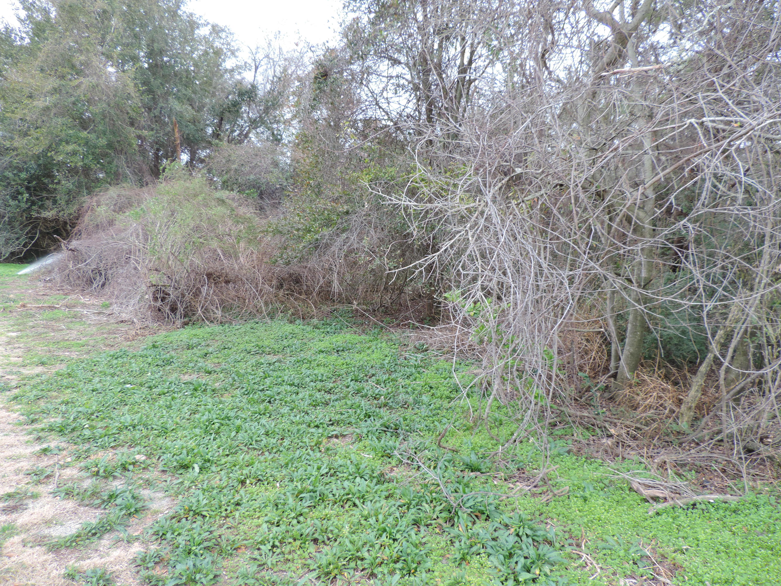 HOLLEY BY THE SEA, 1ST ADD - Land