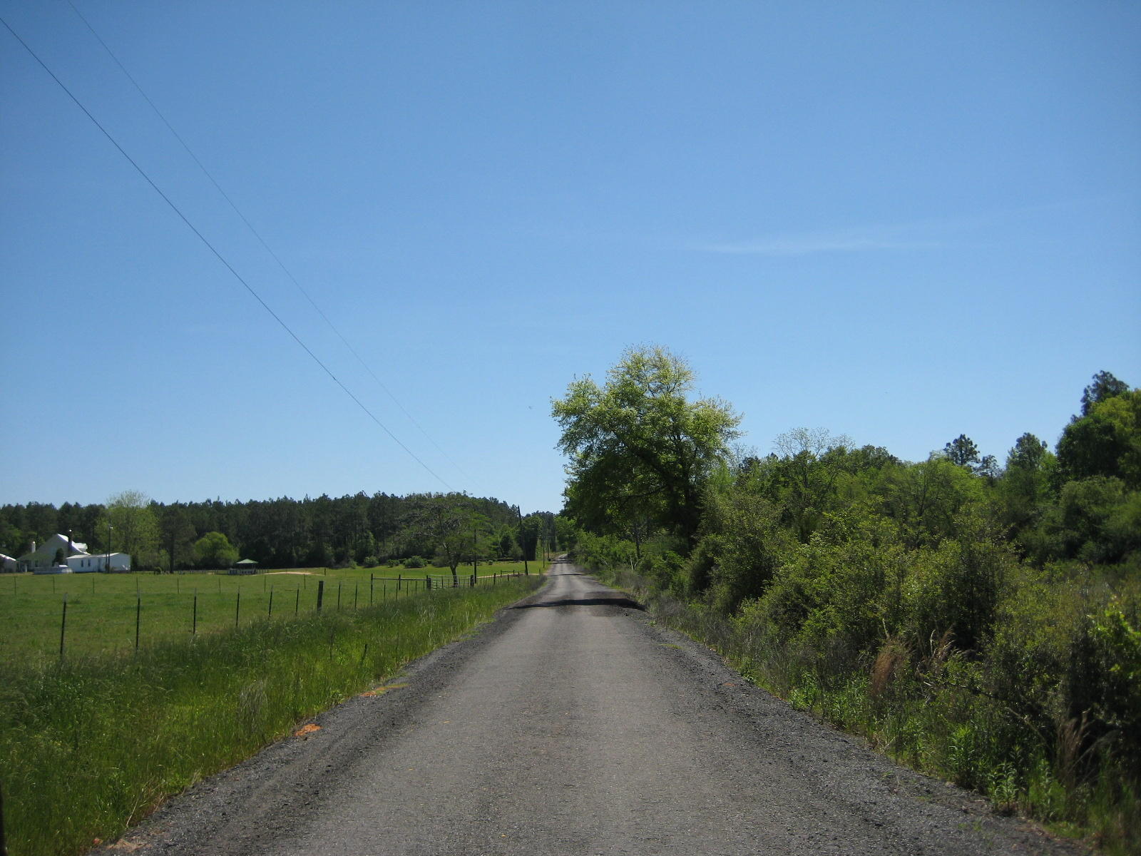 88 Acres of hunting/recreation land on a paved county road! Recently cut and re-planted in Loblolly Pine. Wildlife are abundant on and near this tract. Multiple parcels for a total of 88.3+/- acres in North Walton County.