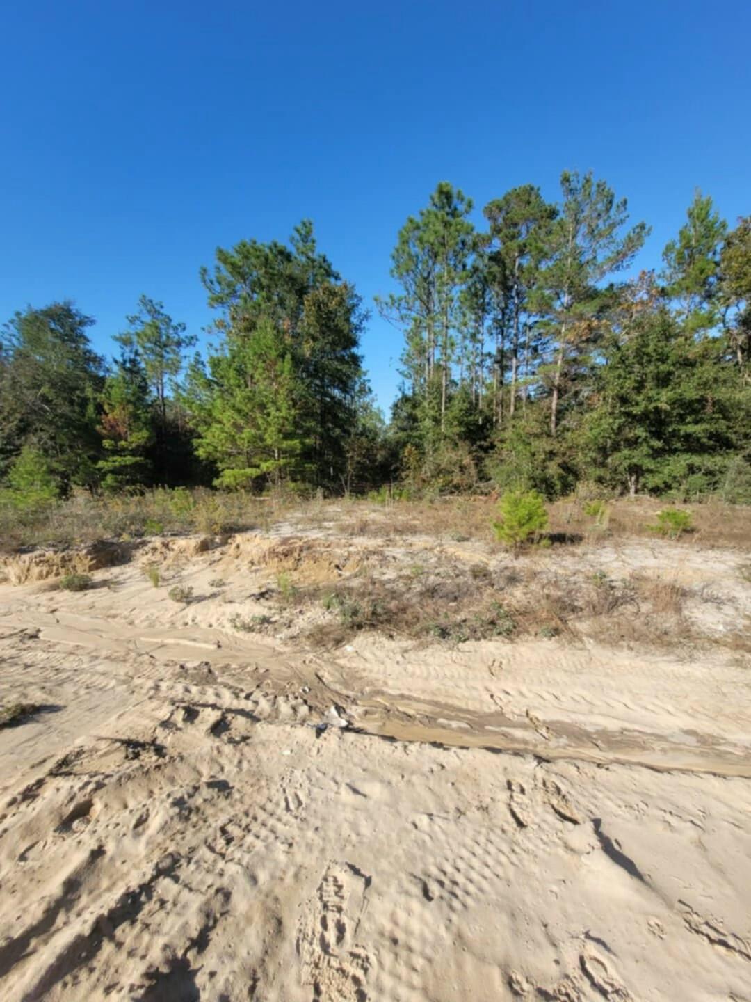 Wood lot in DeFuniak Springs FL and Mossyhead. No HOA. Minimal Restrictions. Modular homes allowed. There are no existing utilities. Well/Power/Septic required. Property is Flood Zone X. Per the Walton GIS mapping, the property does not appear to have wetlands. Easy access to the I-10 & CR 285 south making it a great location for work no matter what direction you need to go! You will be approx. 30-45 mins to most workplaces as as well as the beautiful white sandy beaches of Florida famous Emerald Gulf Coast and Crab Island. Buyer needs to verify building codes, zoning regulations, wetlands and flood zones, etc with proper local authorities to ensure buyer will be able to utilize the property for intended use.