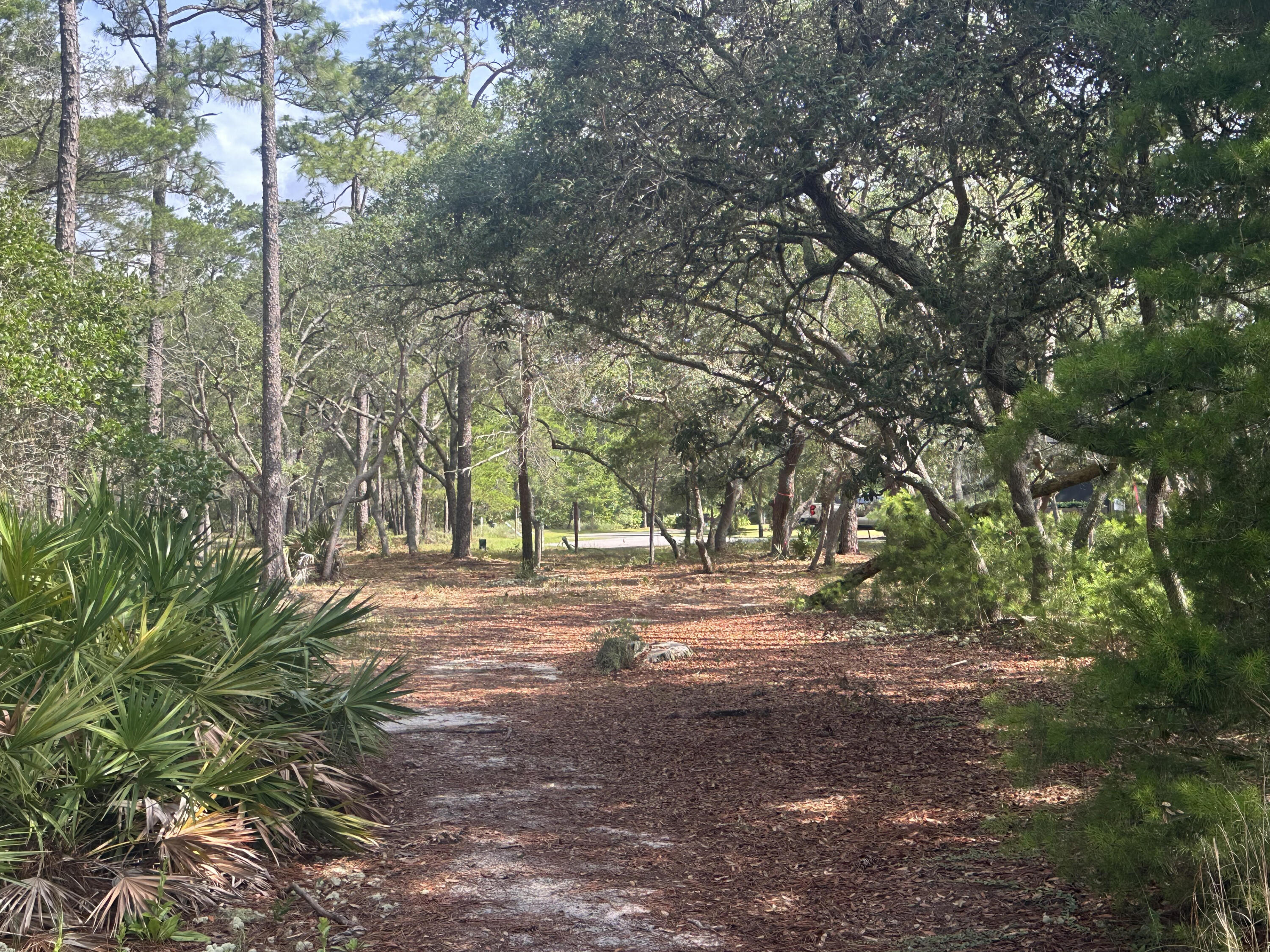 WILD HERON PHASE I - Land