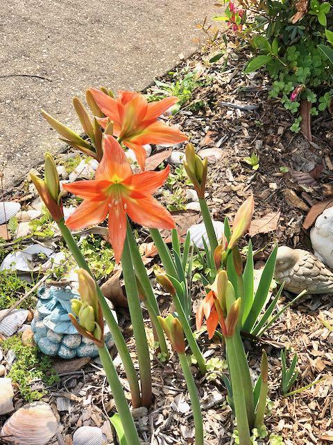 NORTH RIDGE CREEK S/D - Residential