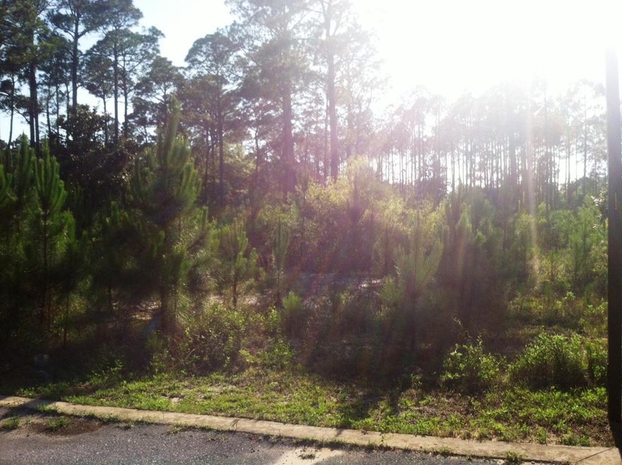 This lot has been filled and retaining wall surrounds the property. Pine Trace is a great community and peaceful neighborhood. Don't let this opportunity pass you by.