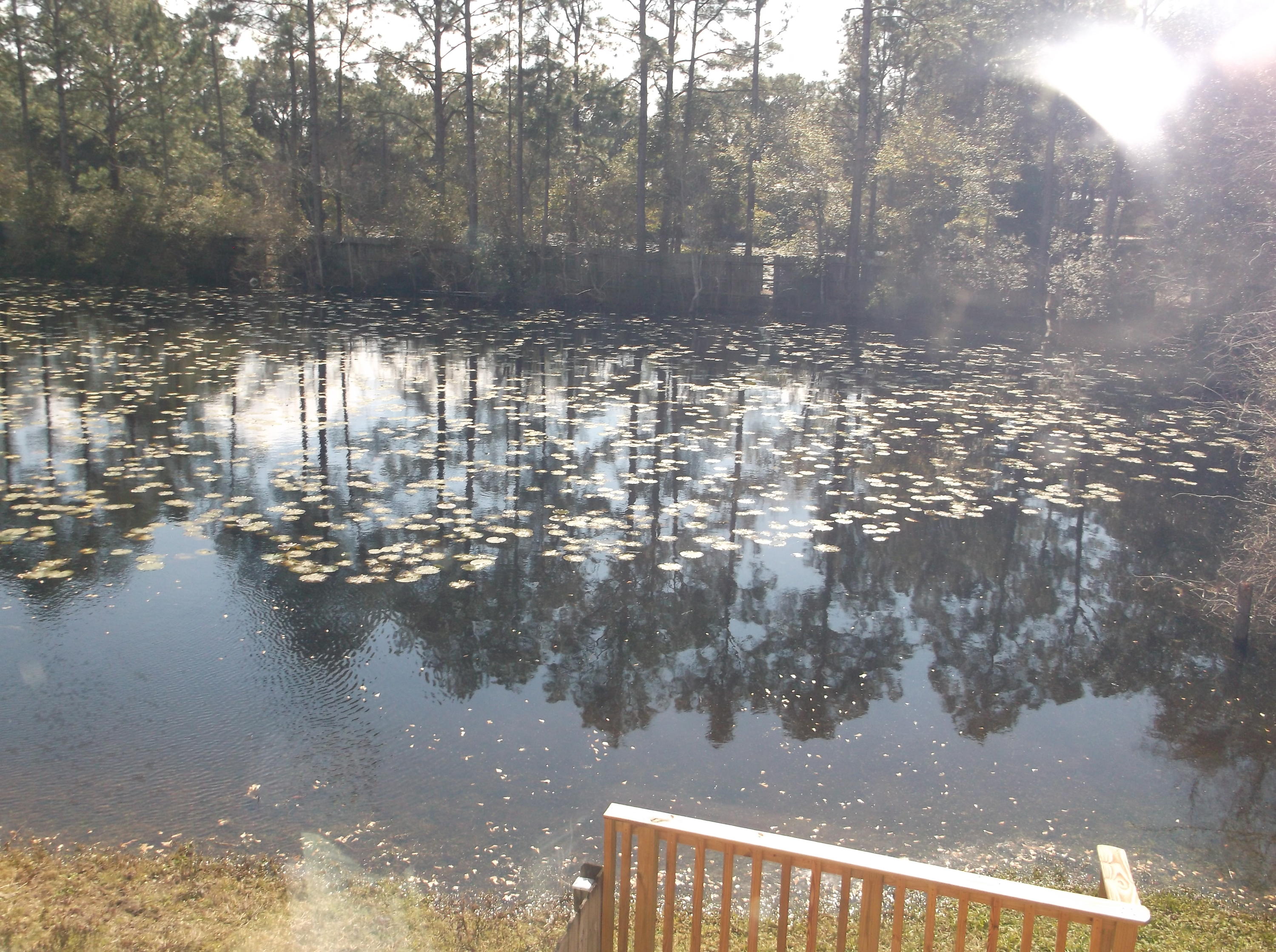 CLOVERDALE LAKE - Residential