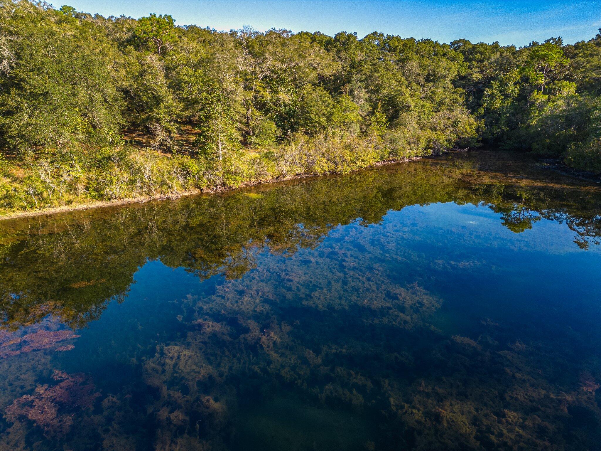 ***Welcome to your new retreat!!*** A cozy 2/1 cottage sits on the forefront of this 10-ACRE parcel. Spend you days fishing in you SPRING FED PRIVATE lake. This property boasts a 770 sq.ft. detached garage with power that was built in 2018 AND a 20x60 detached shed. The possible are endless - build your dream house in the secluded country. Create a home away from home to unplug and connect with nature. Or create a a small campground for passive income! Conveniently located near the intersection of I-10 and 331 means you can spend your days on the beach and your nights under the stars.