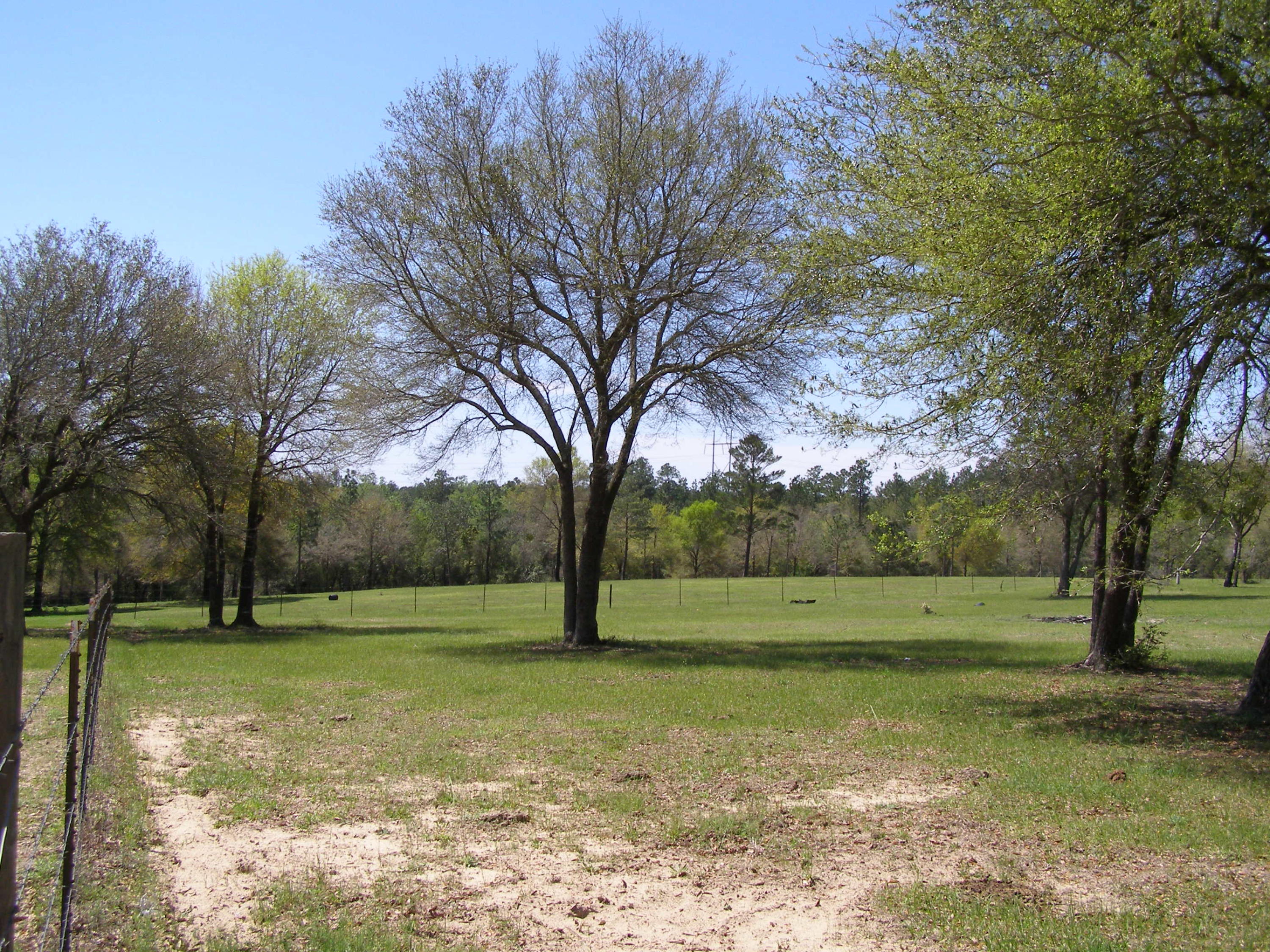 METES & BOUNDS - Farm