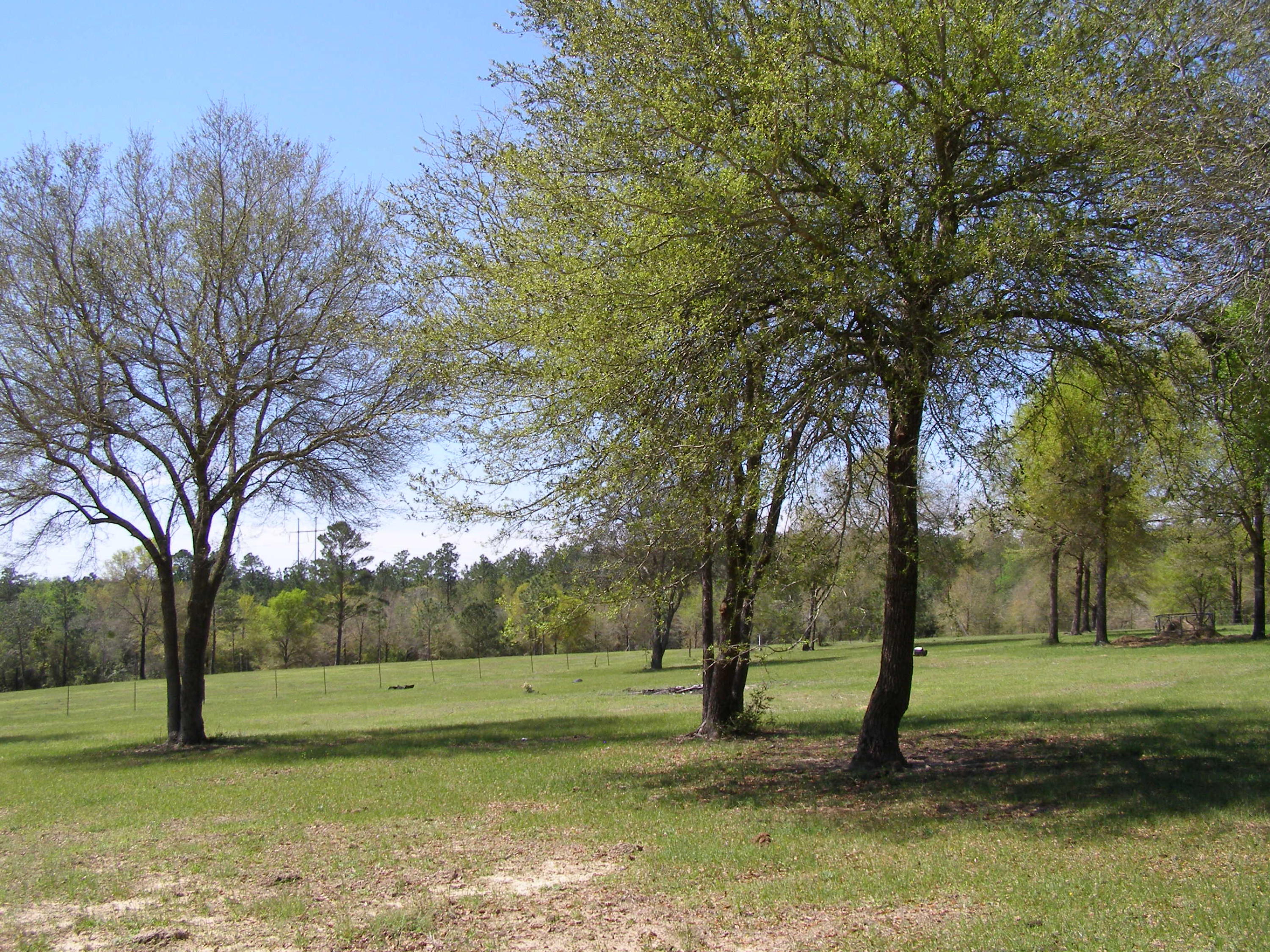 METES & BOUNDS - Farm