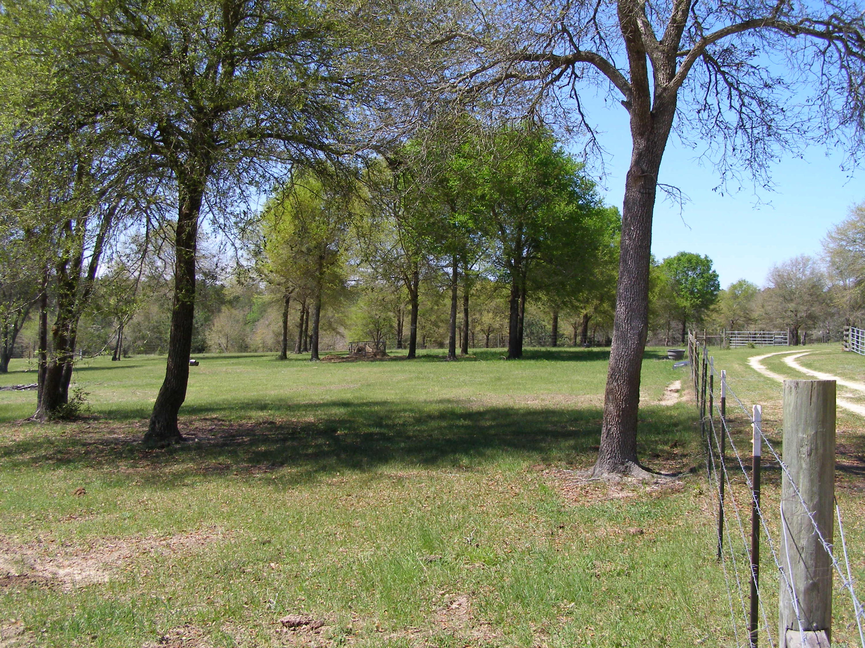 METES & BOUNDS - Farm