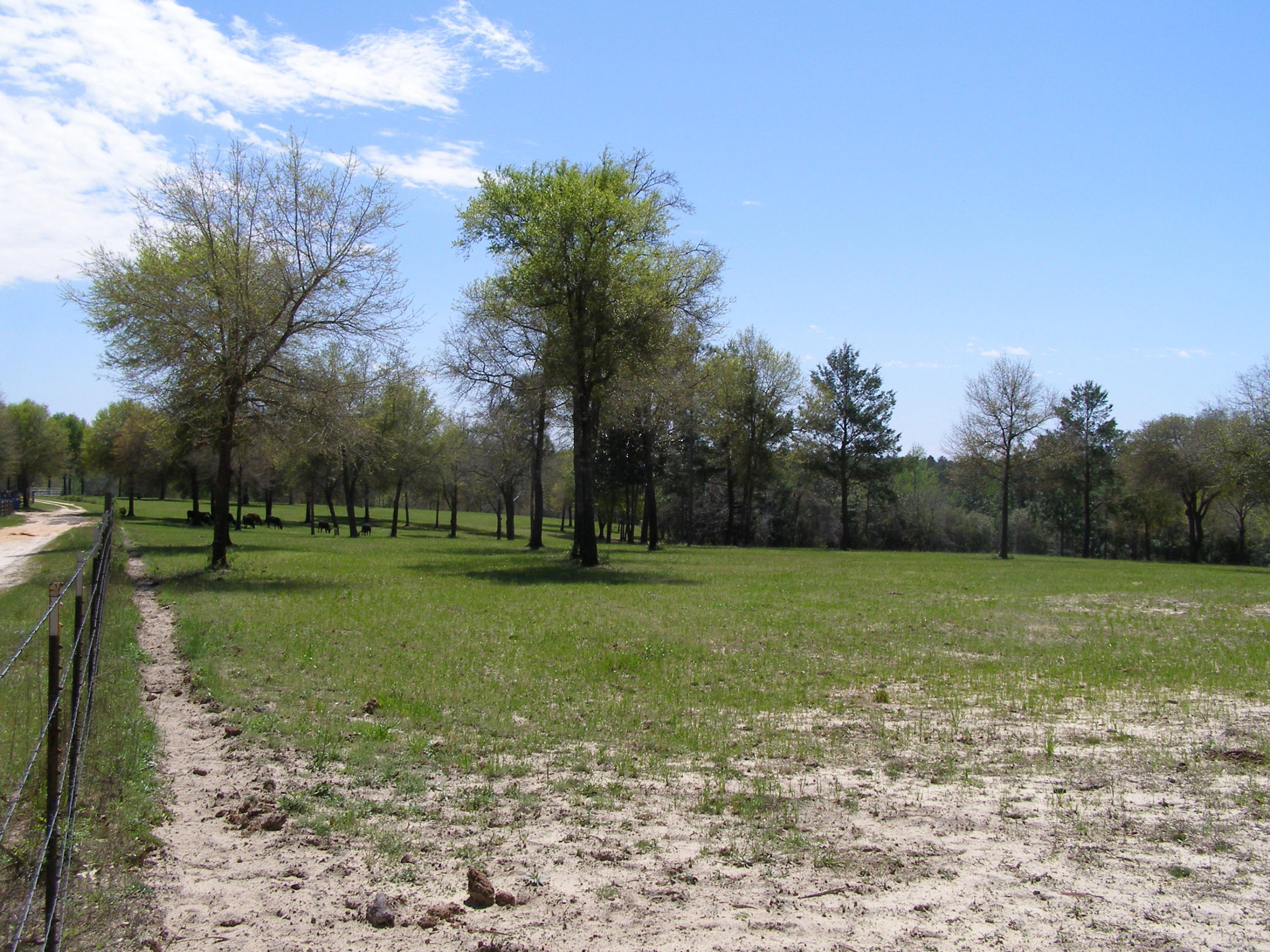 METES & BOUNDS - Farm