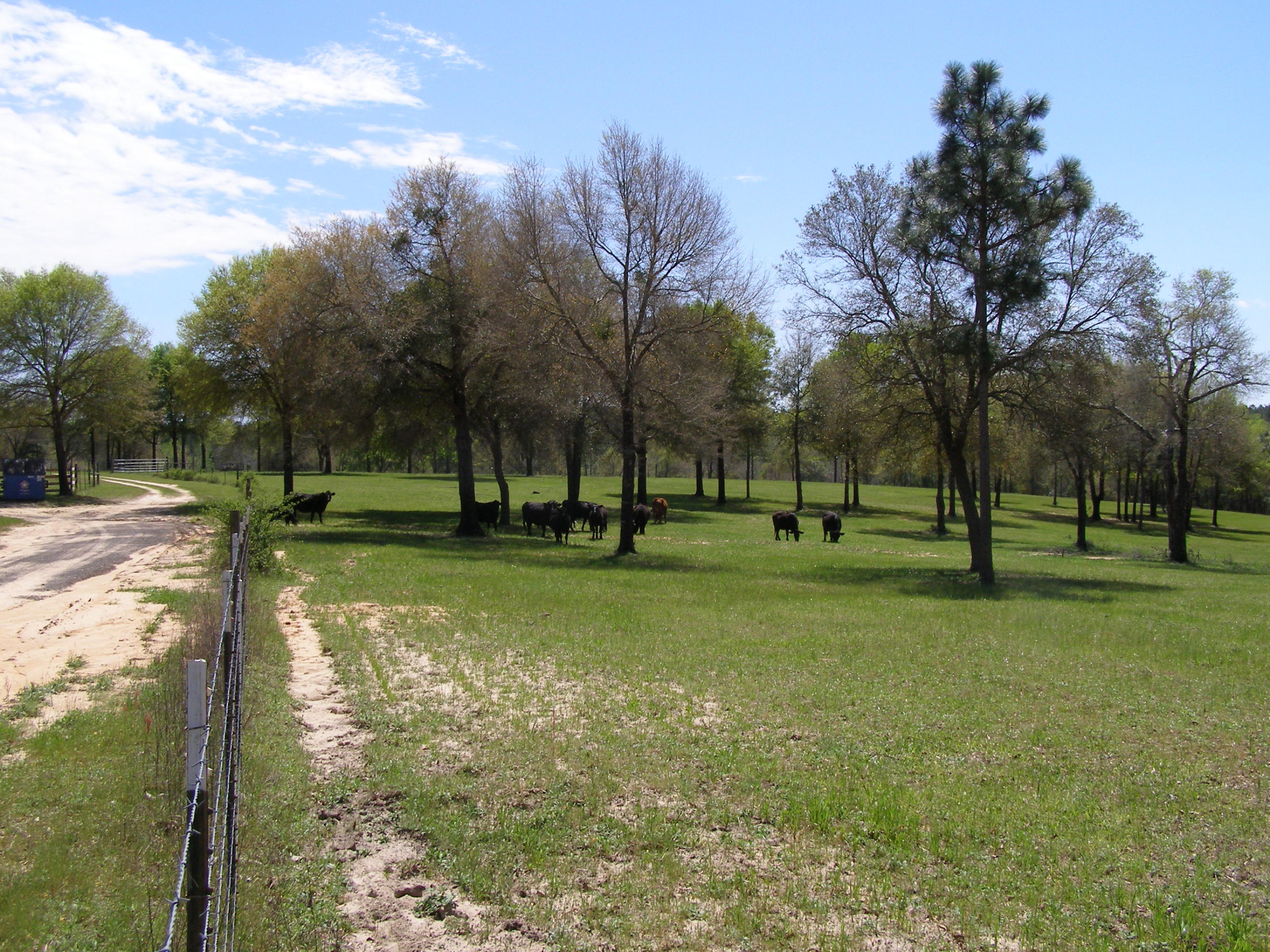 METES & BOUNDS - Farm