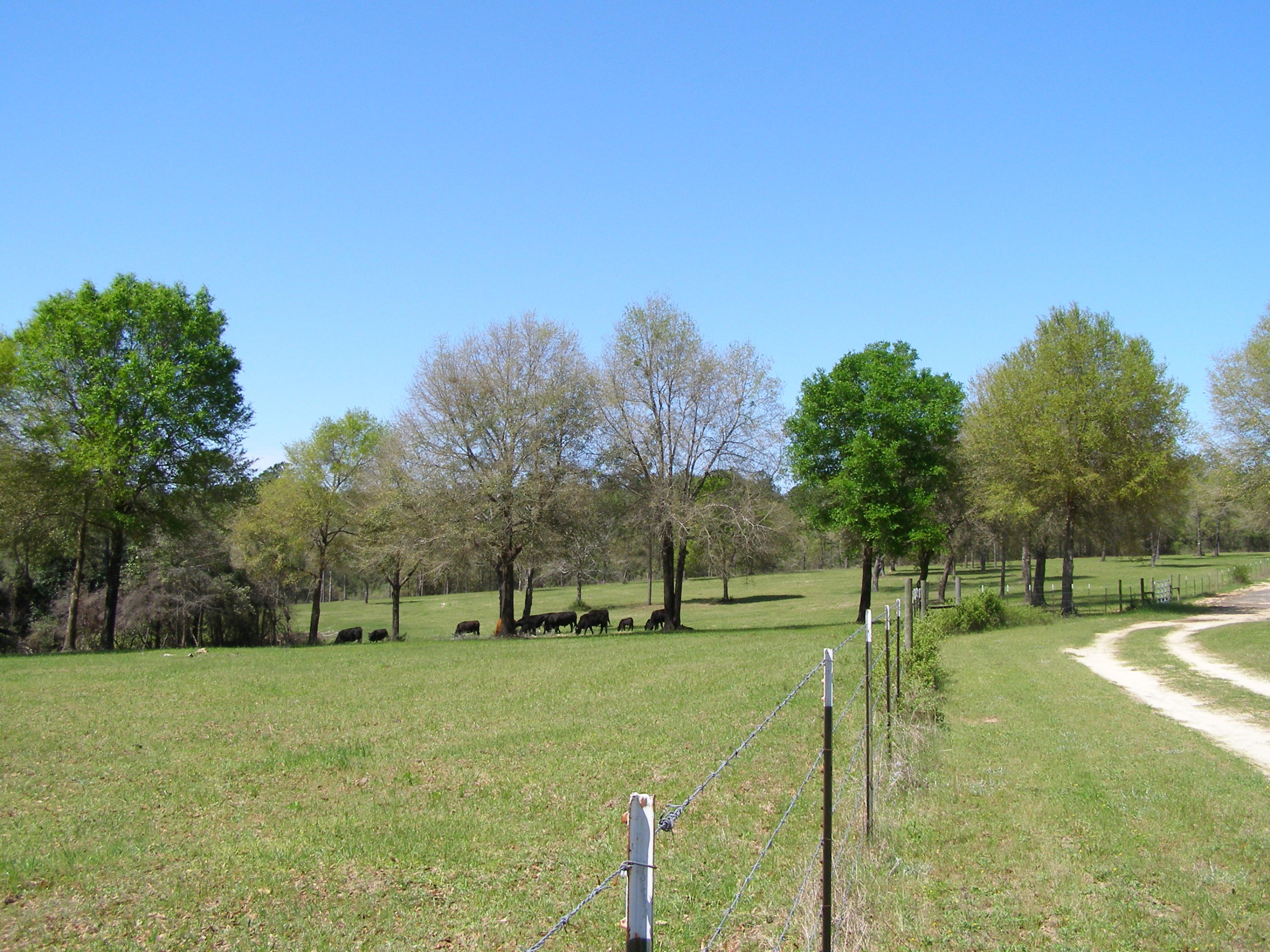 METES & BOUNDS - Farm