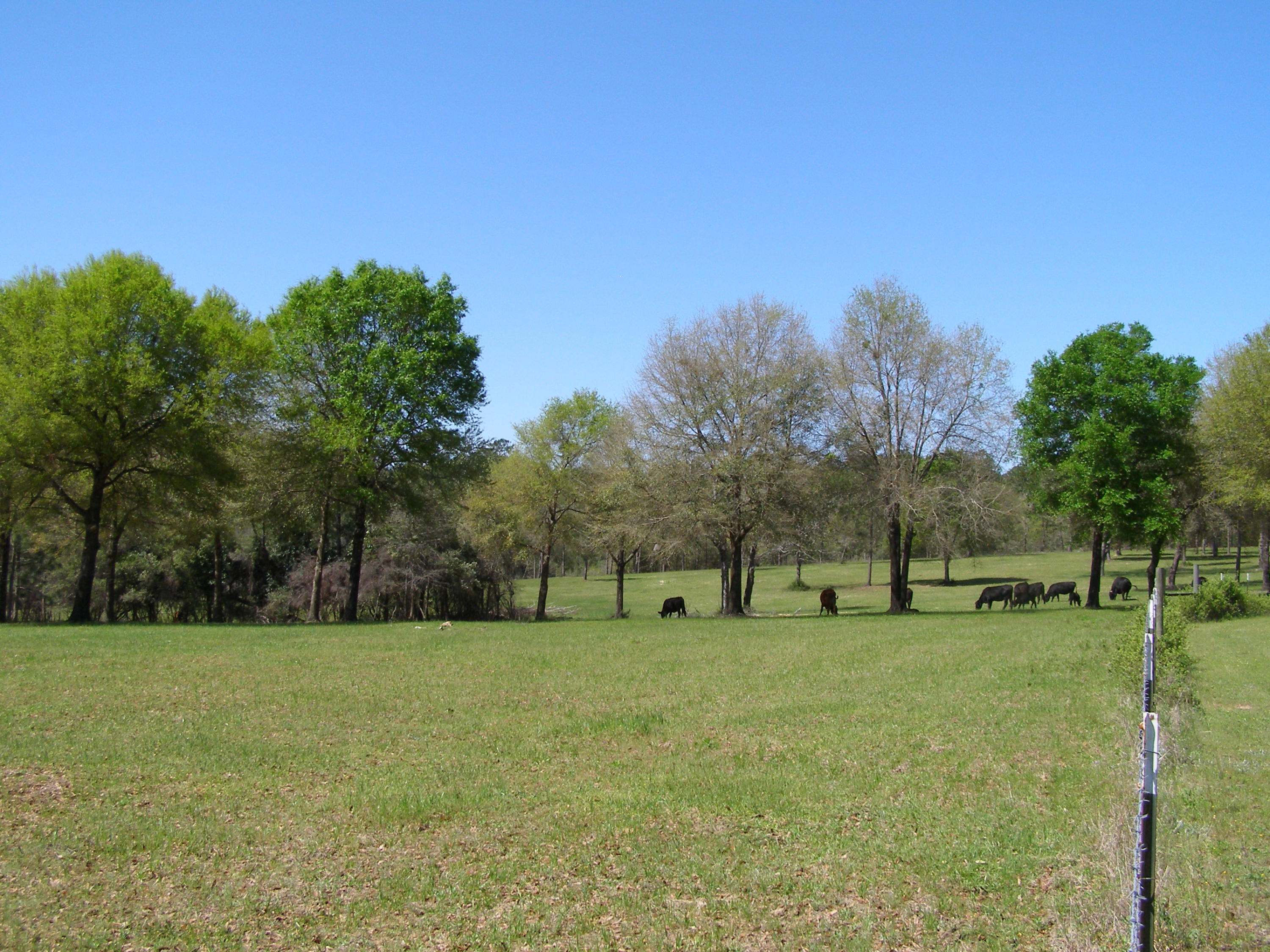 METES & BOUNDS - Farm