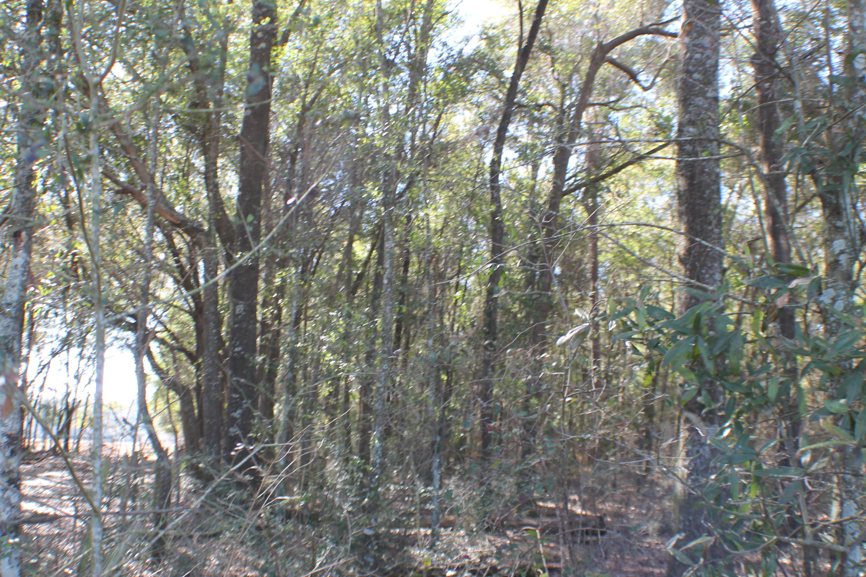 METES & BOUNDS - Farm