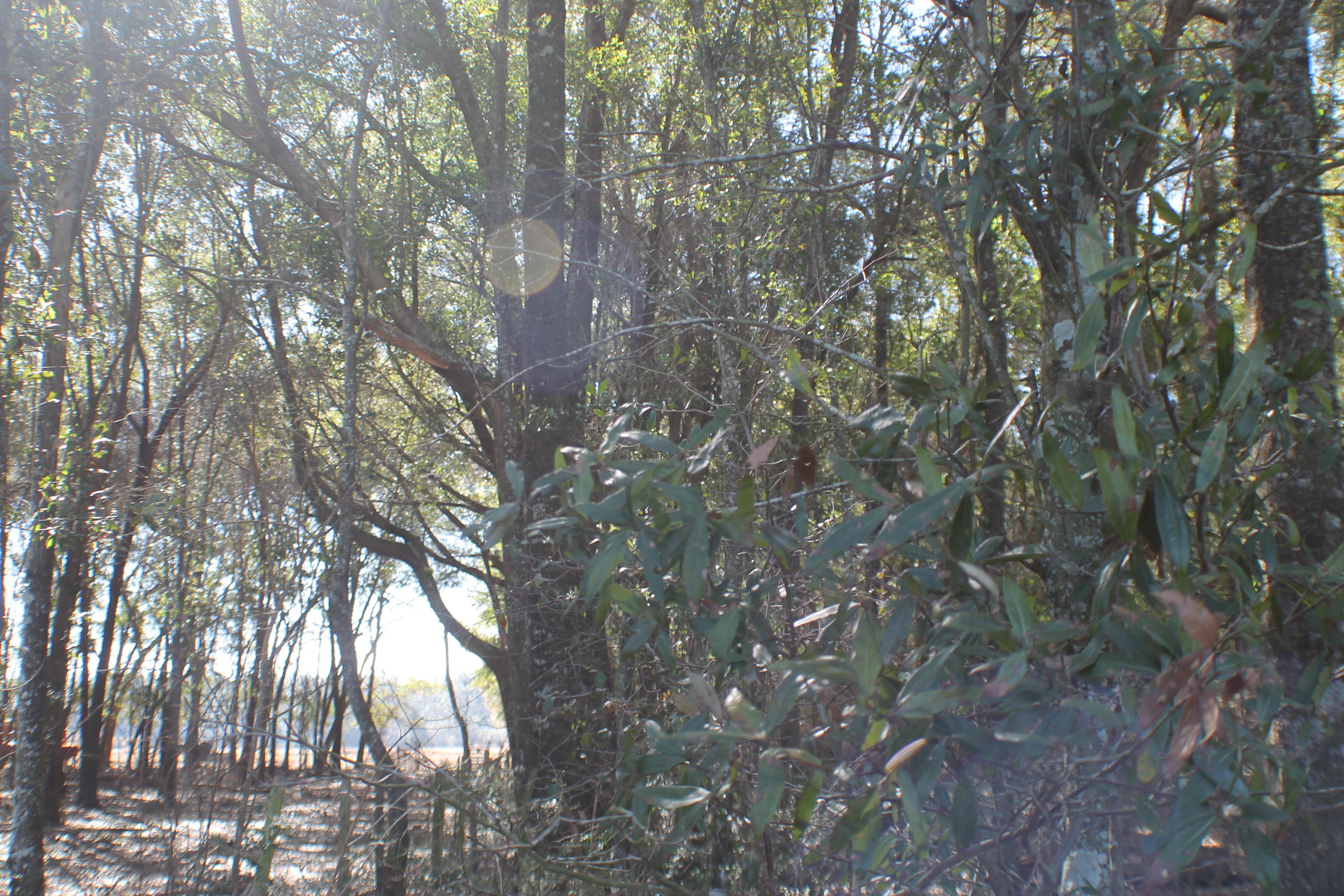 METES & BOUNDS - Farm