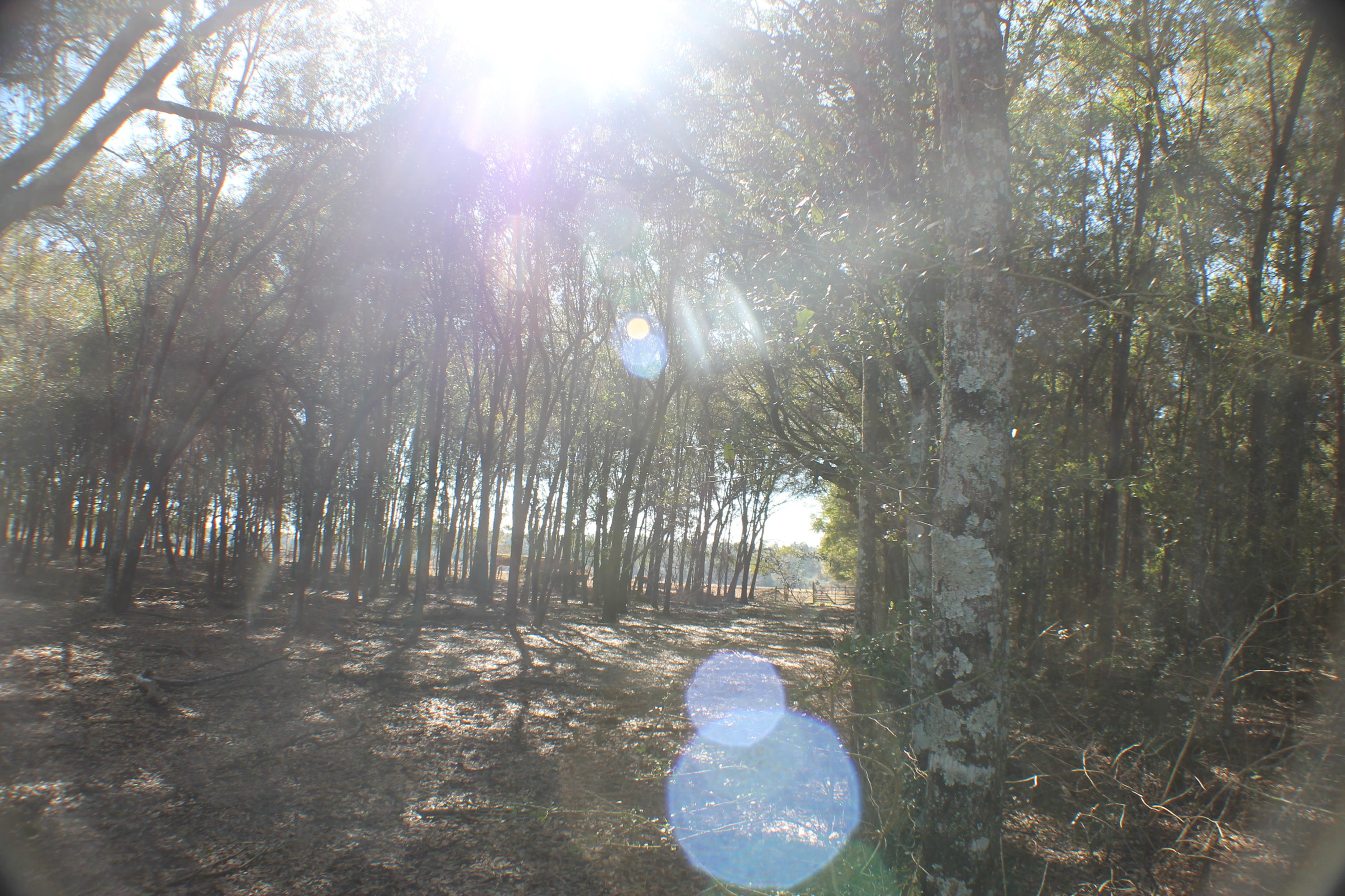 METES & BOUNDS - Farm