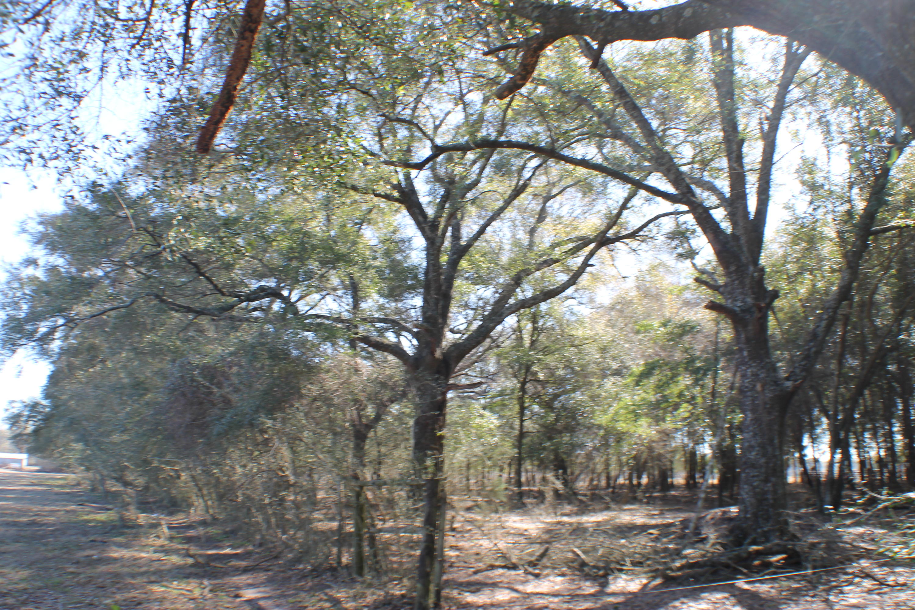 METES & BOUNDS - Farm