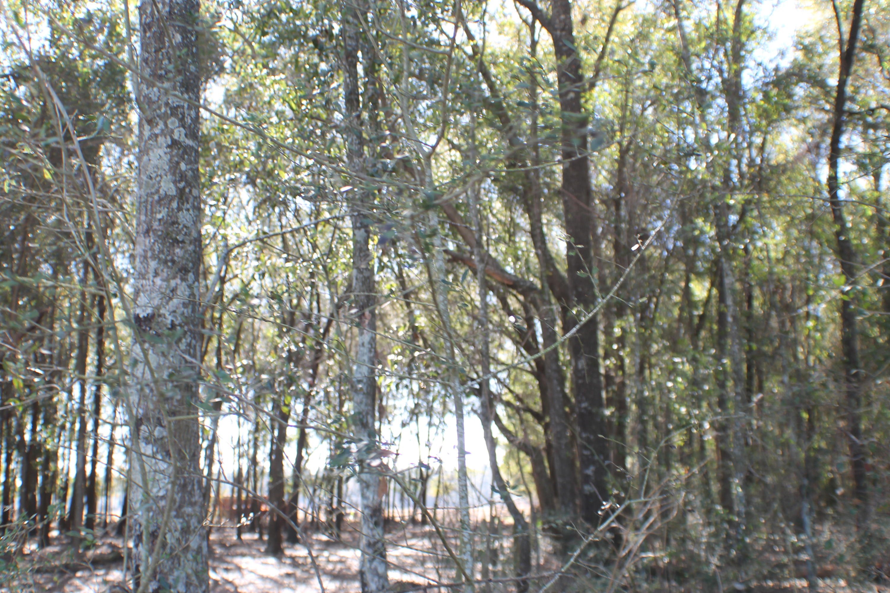 METES & BOUNDS - Farm