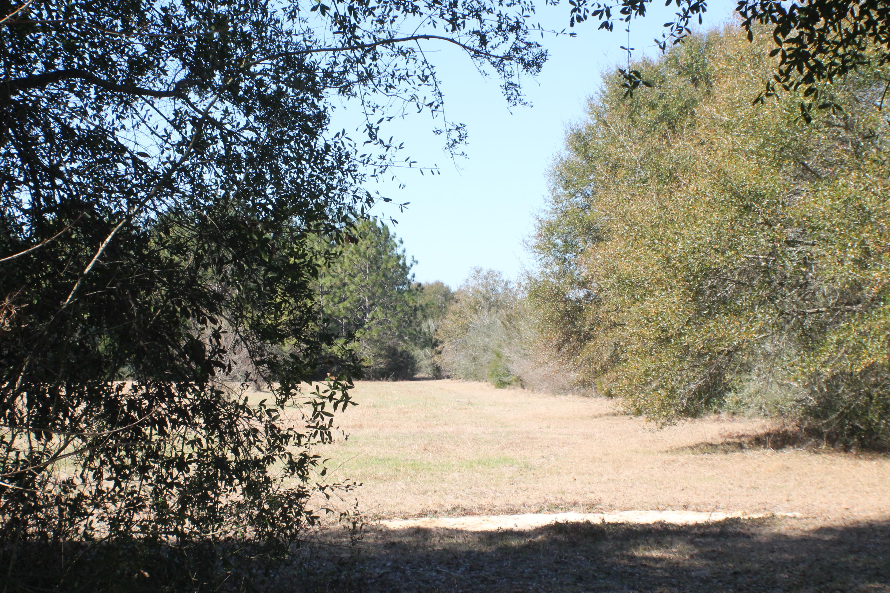 METES & BOUNDS - Farm