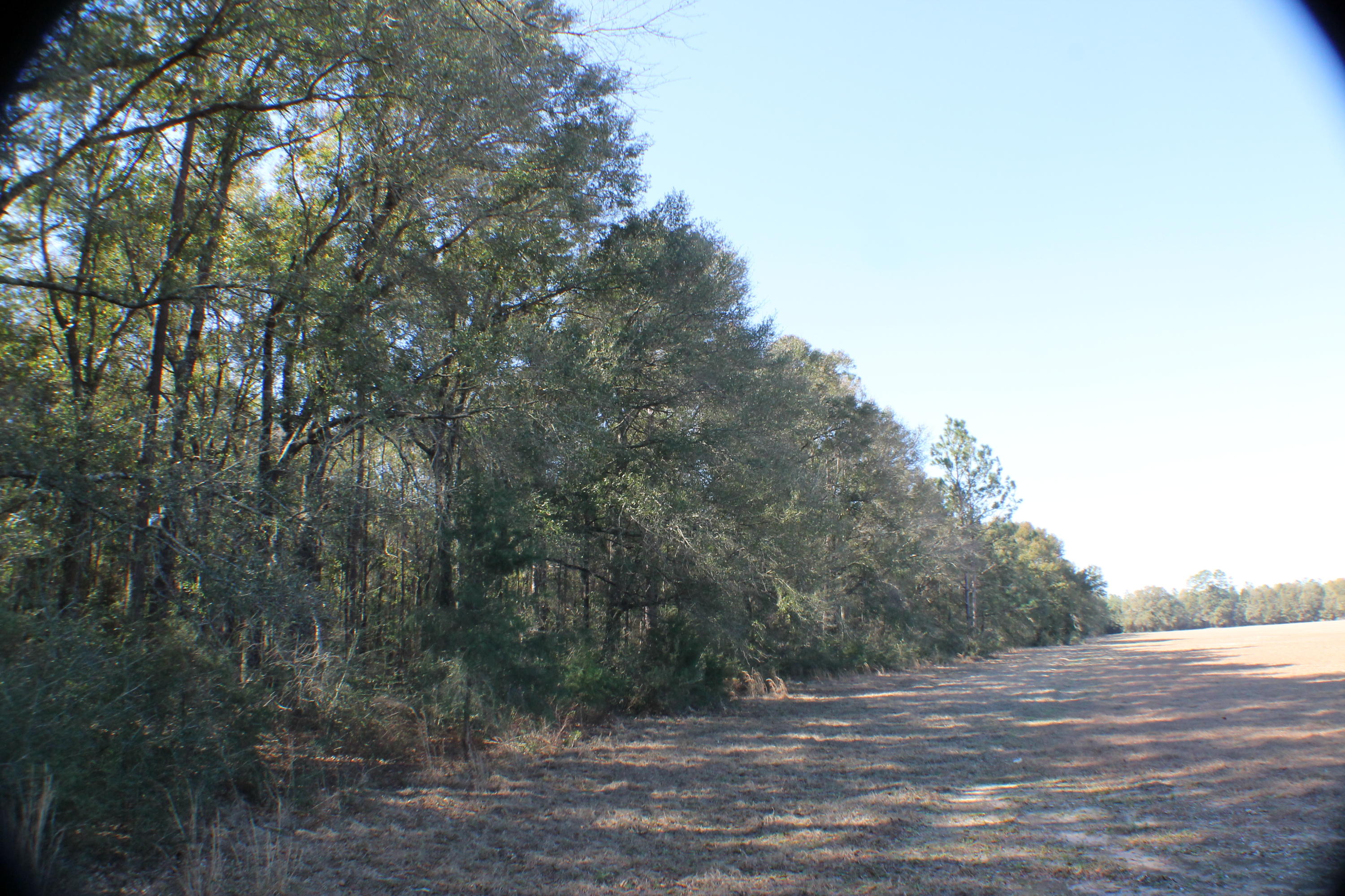 Beautiful heavy wooded level Farm /Homesite! In the Heart of Baker . The neighbors Farm Sod and there is alot of timber value on the subject property. deeded easement to Griffith Mill in Documents section.
