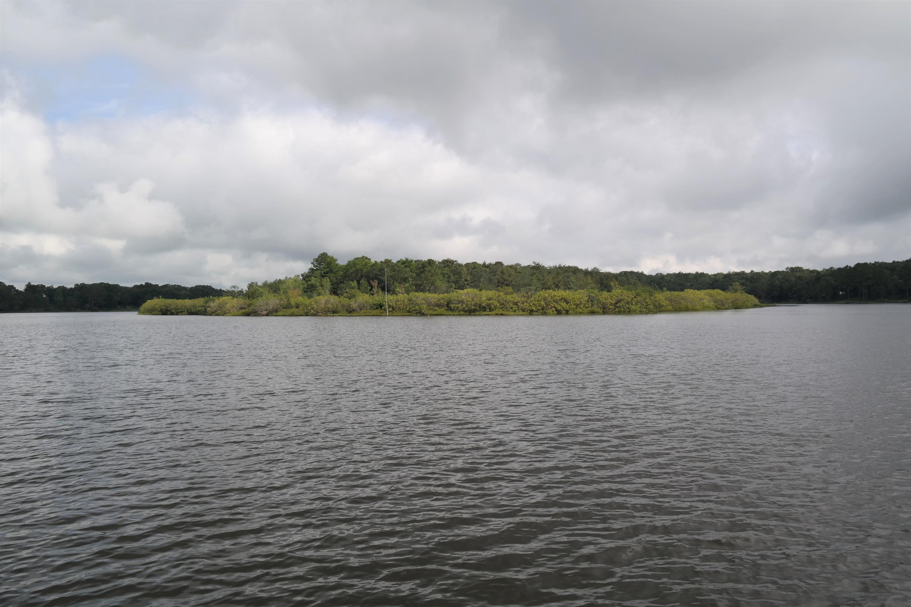 DOGWOOD TERRACE - Residential