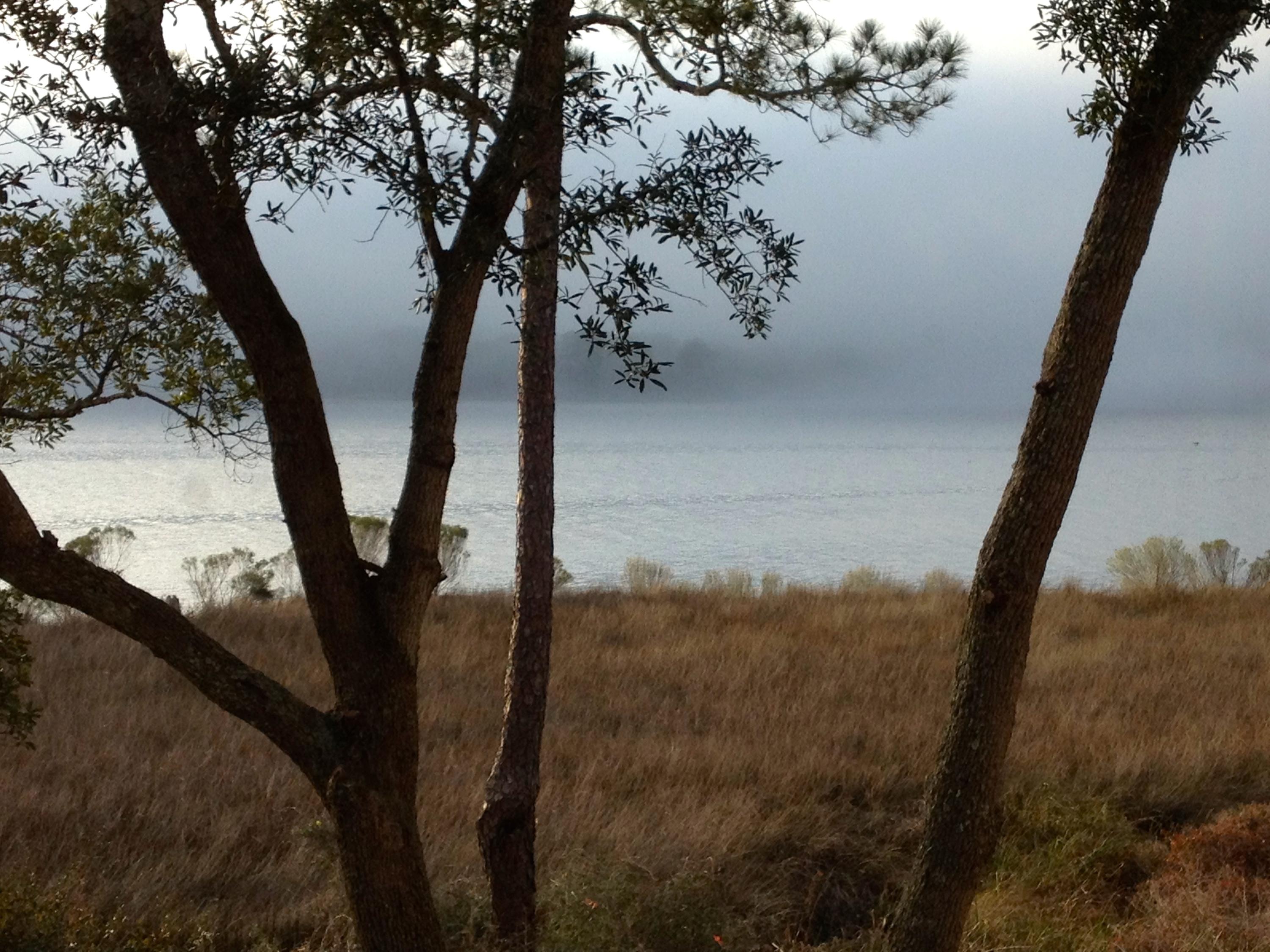 MARINA COVE VILLAGE UNIT 10 - Residential