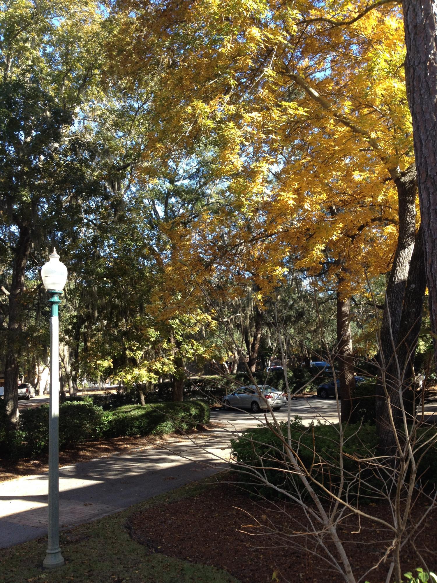 MARINA COVE VILLAGE UNIT 10 - Residential