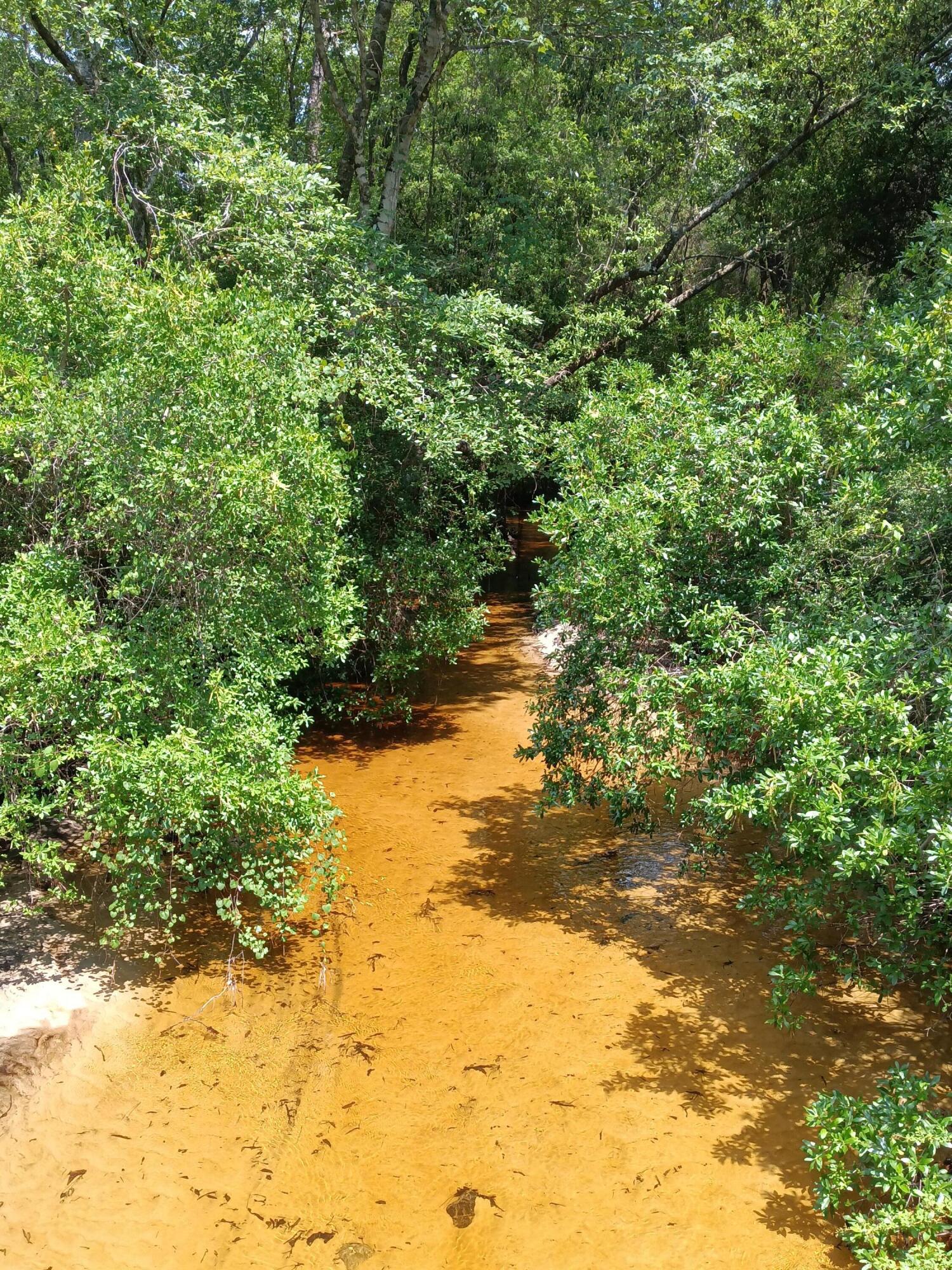 Kings Lake Road - Land