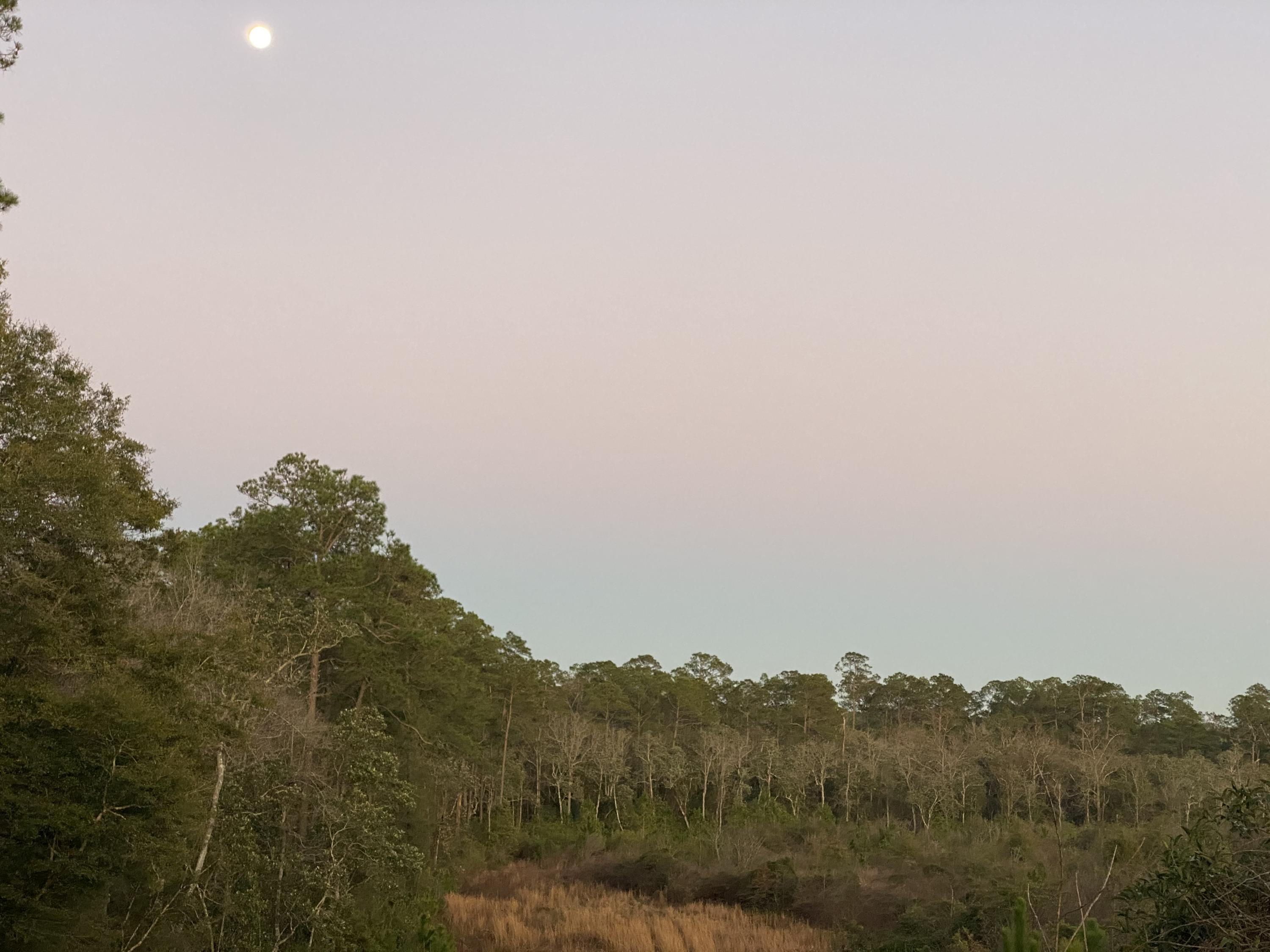 METES & BOUNDS - Farm